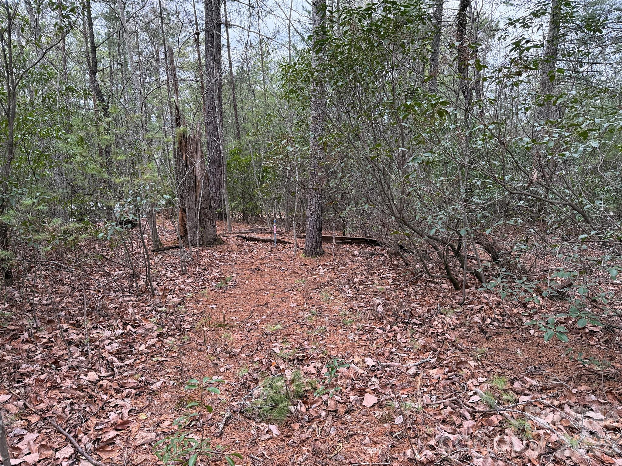 Tbd Deer Antler Drive 82 Property Photo 12
