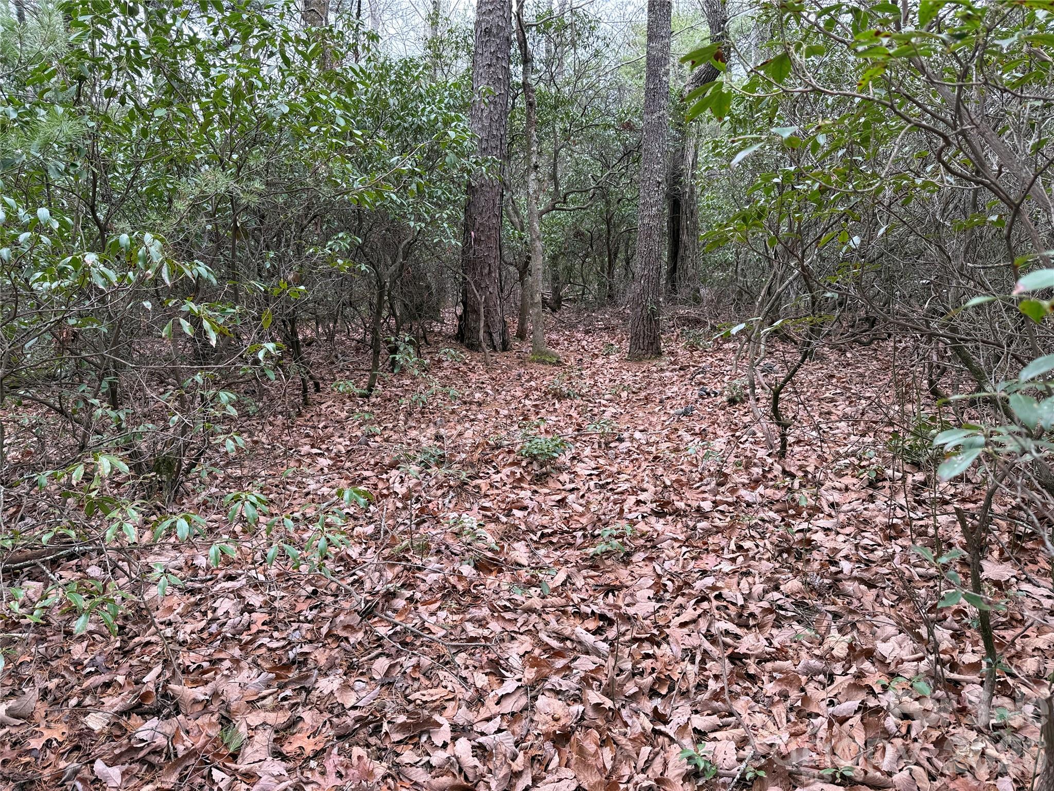 Tbd Deer Antler Drive 82 Property Photo 13