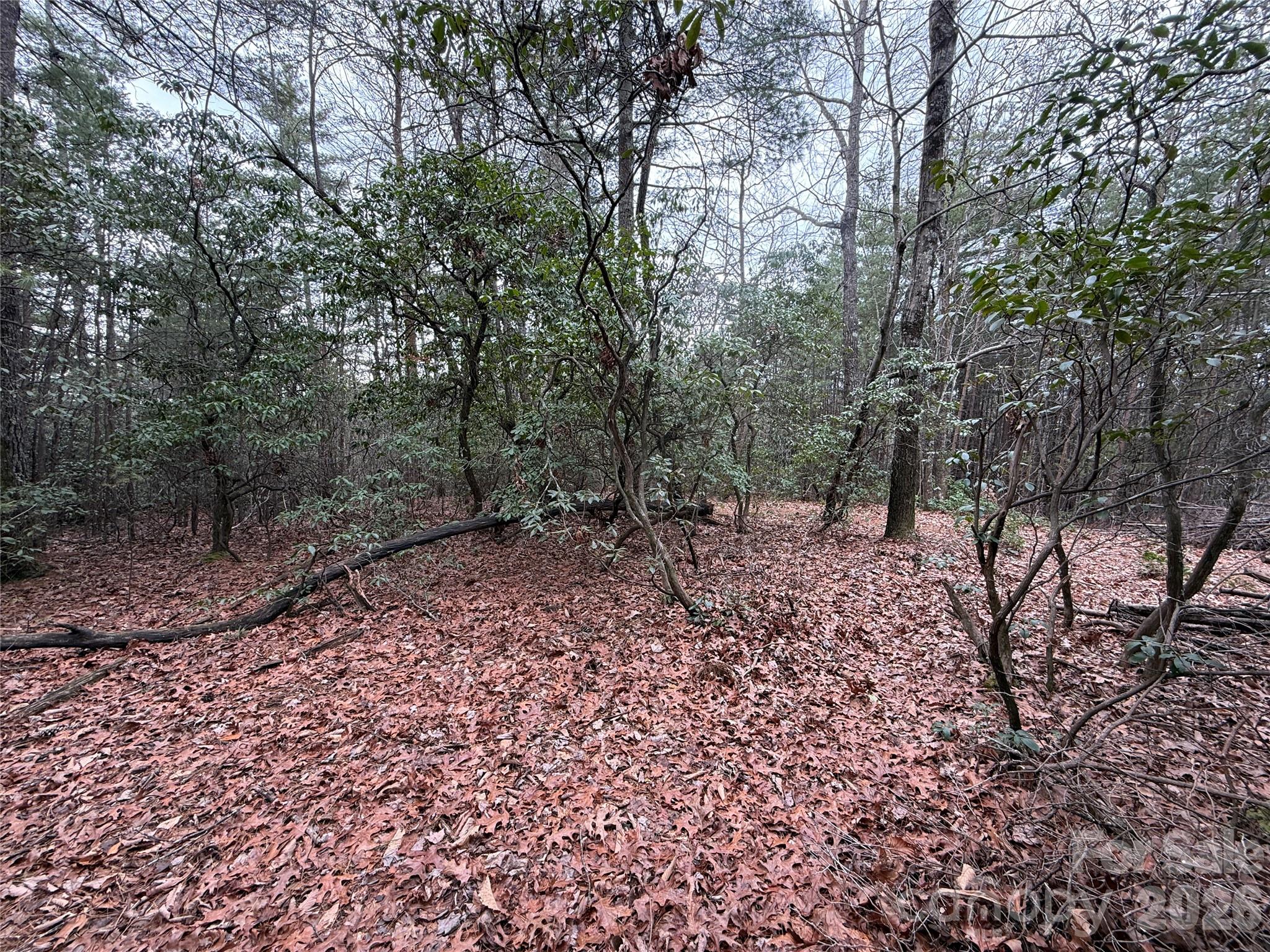 Tbd Deer Antler Drive 82 Property Photo 14