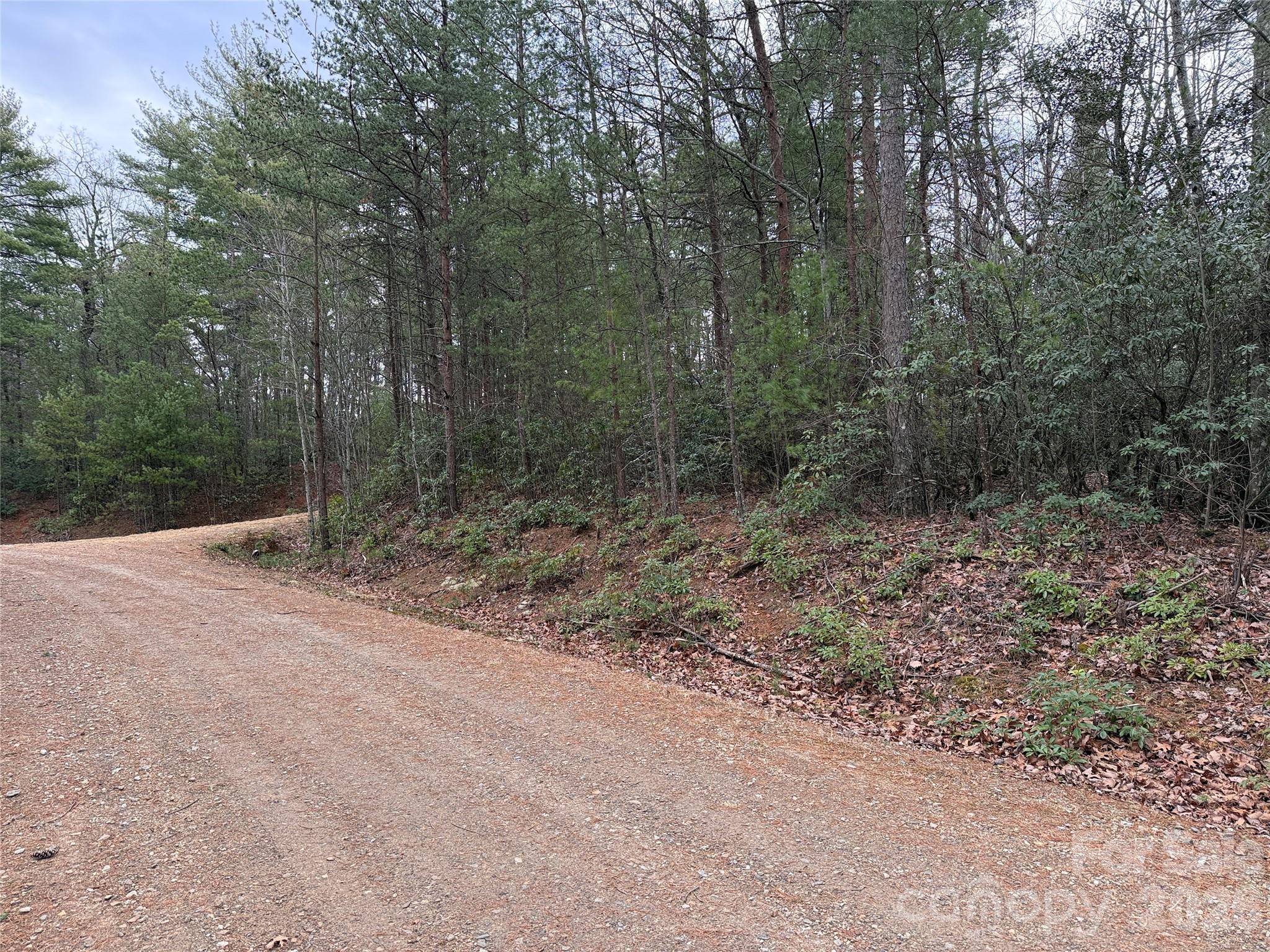 Tbd Deer Antler Drive 82 Property Photo 15