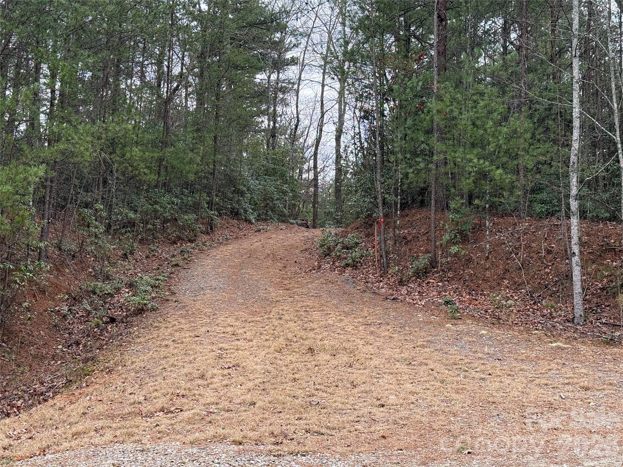 Tbd Deer Antler Drive 82 Property Photo 17