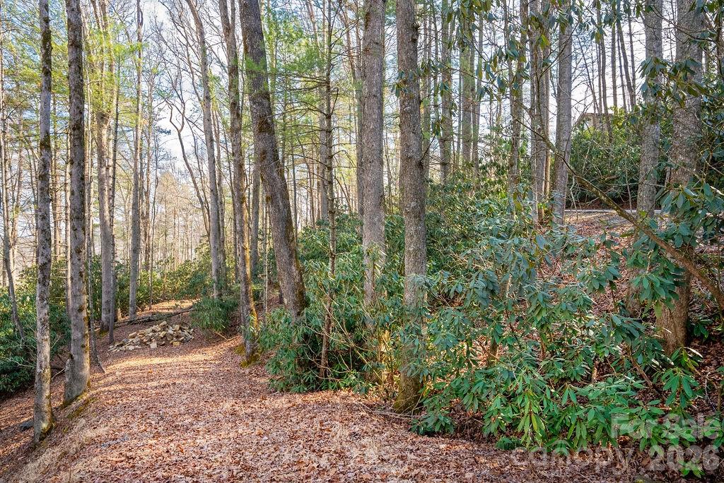 Lot 4-r Middlemount Road Property Photo 1