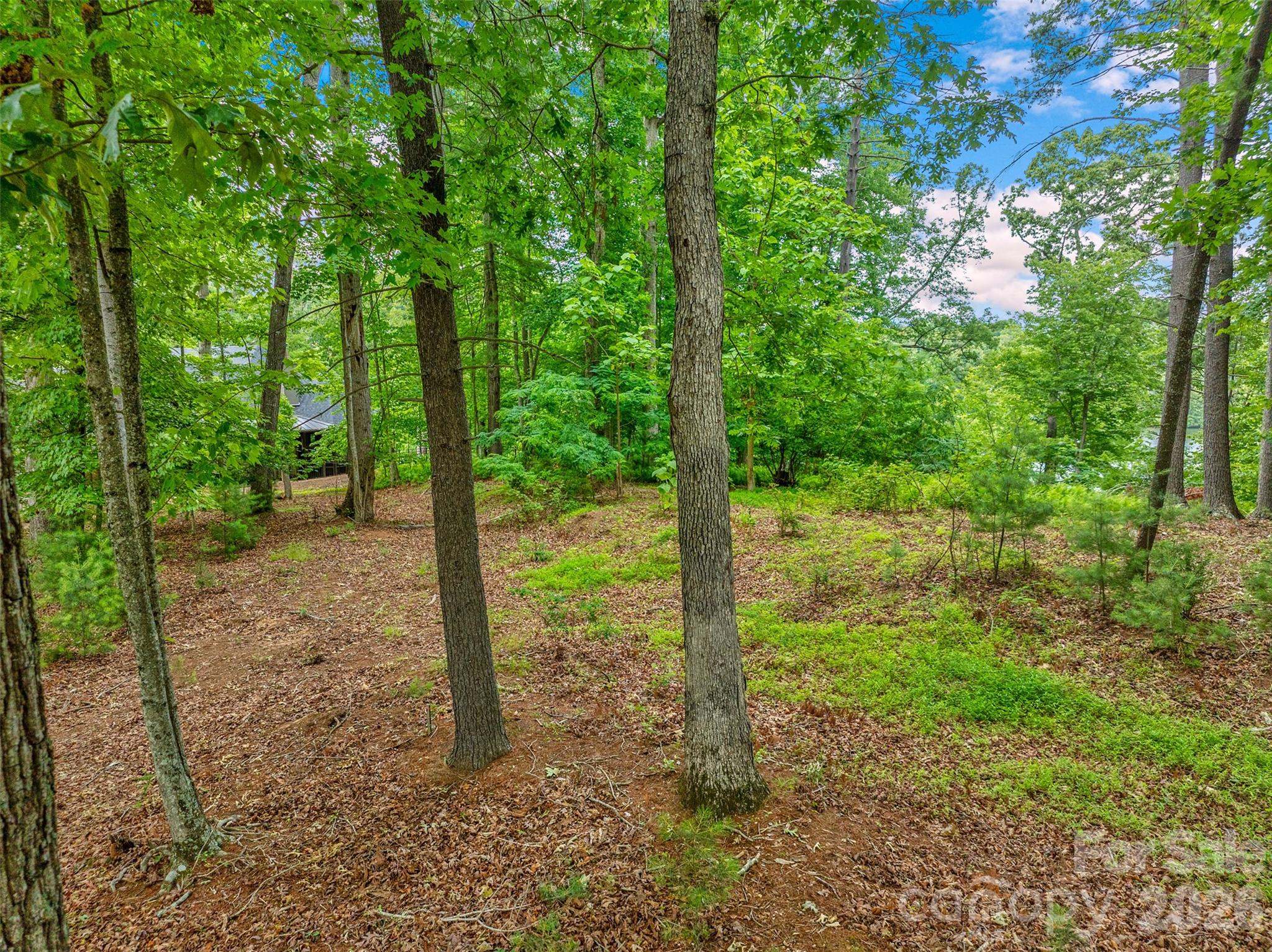 17 Hendrickson Court Property Photo 6