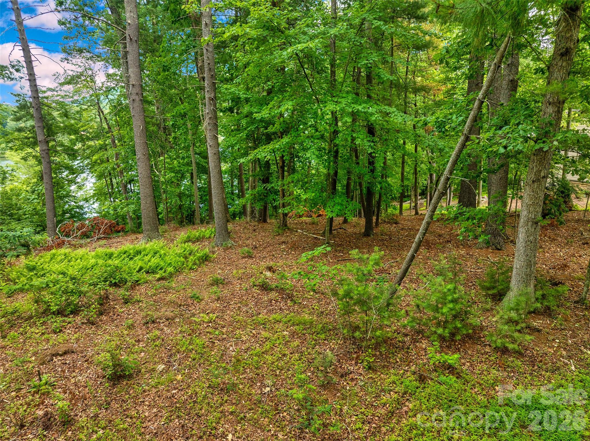17 Hendrickson Court Property Photo 9