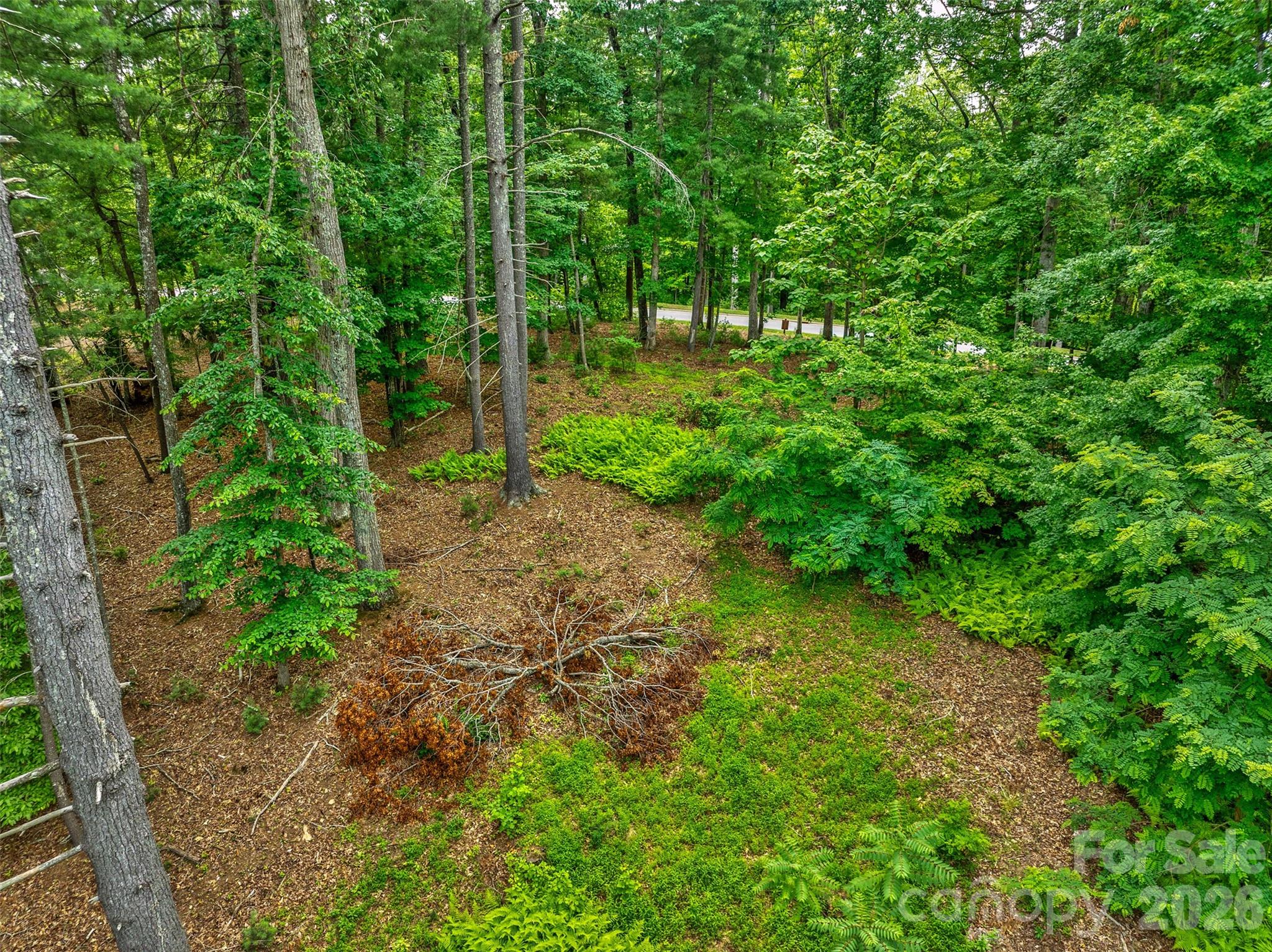 17 Hendrickson Court Property Photo 12