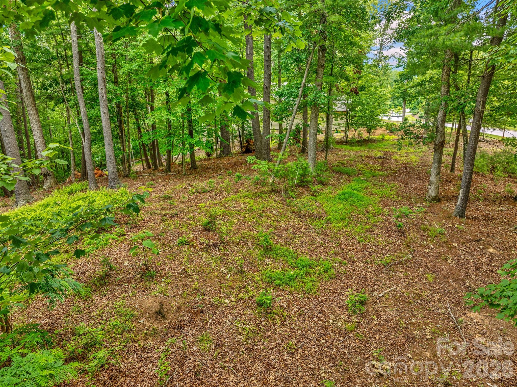 17 Hendrickson Court Property Photo 15