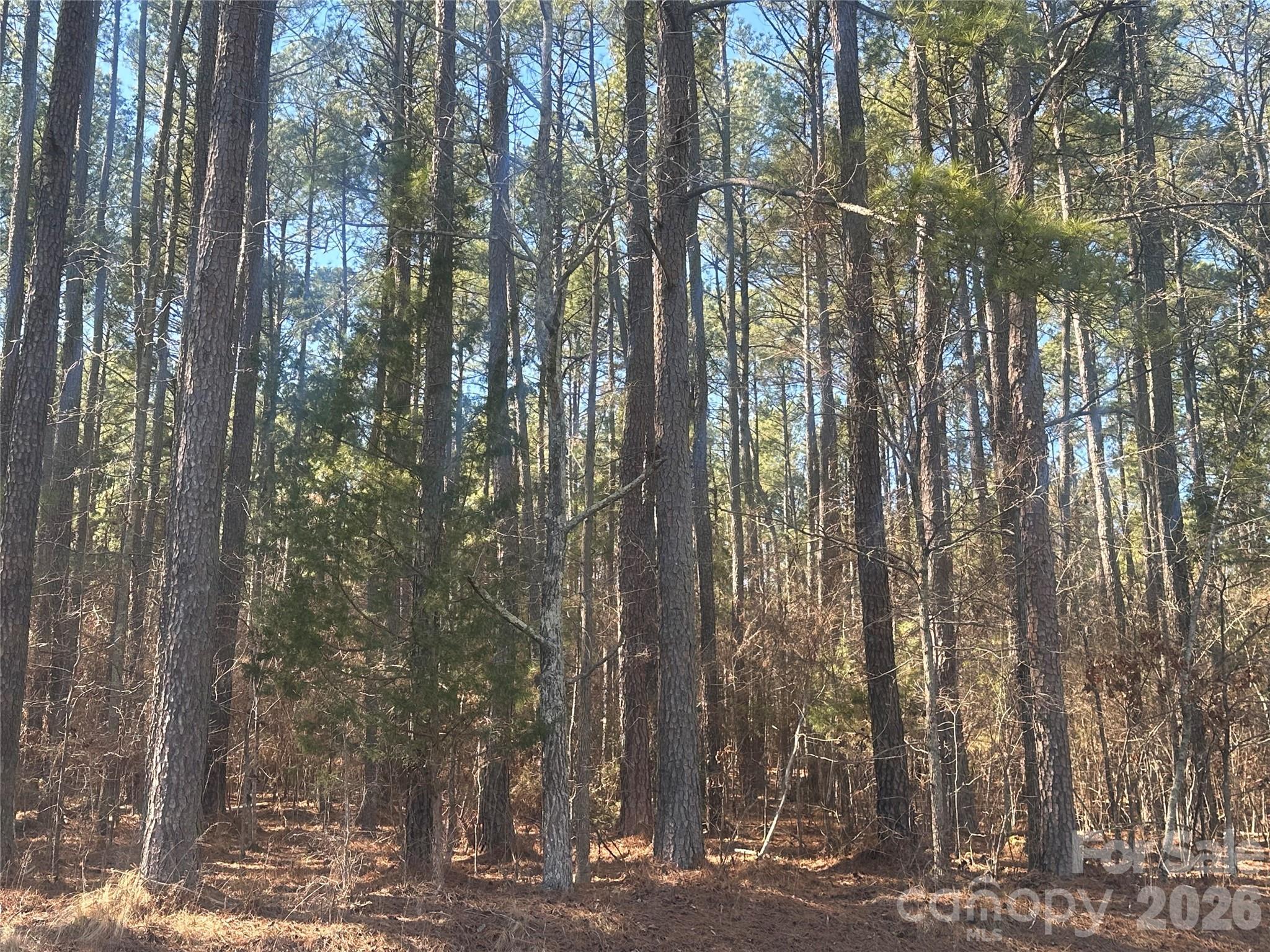 2410 Summerville Church Road Property Photo 2