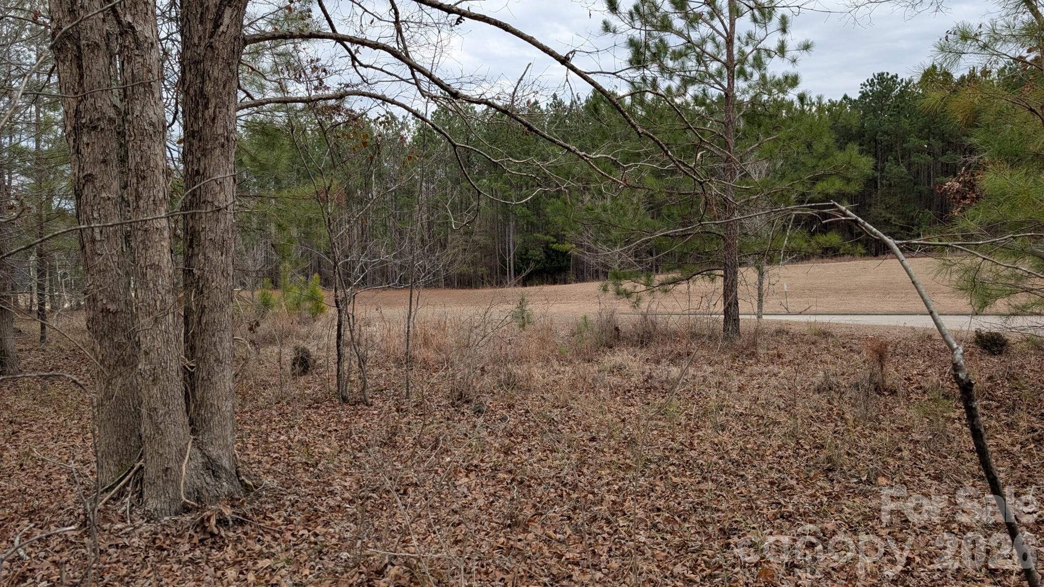 Tbd Retreat Way 3 Property Photo 3