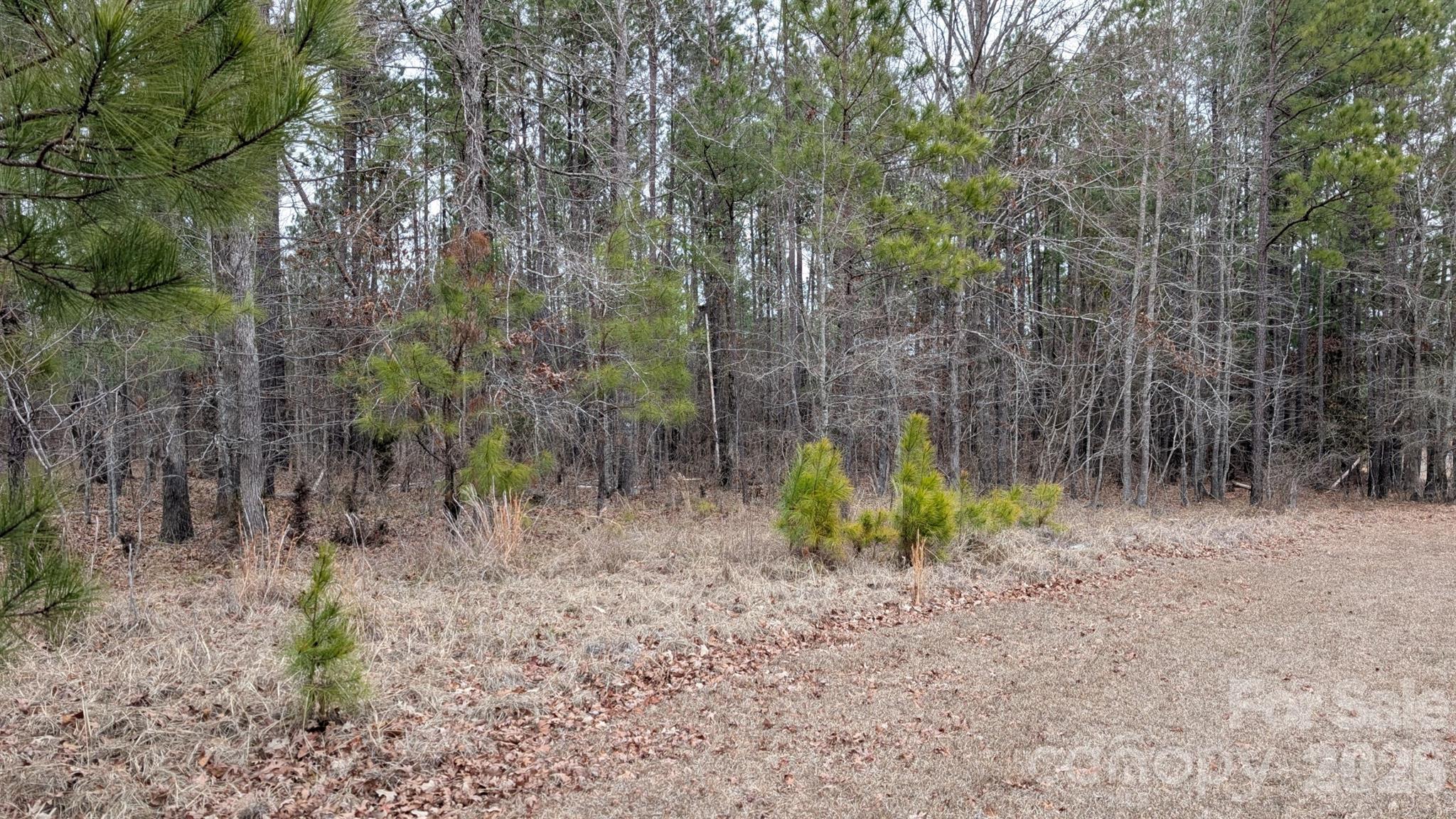 Tbd Retreat Way 3 Property Photo 4