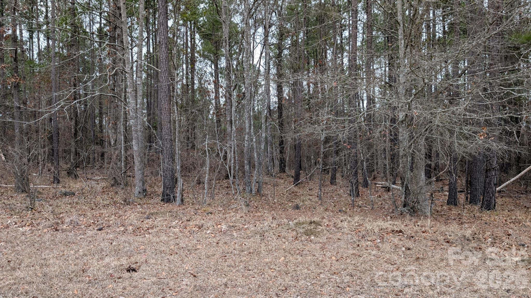 Tbd Retreat Way 3 Property Photo 6