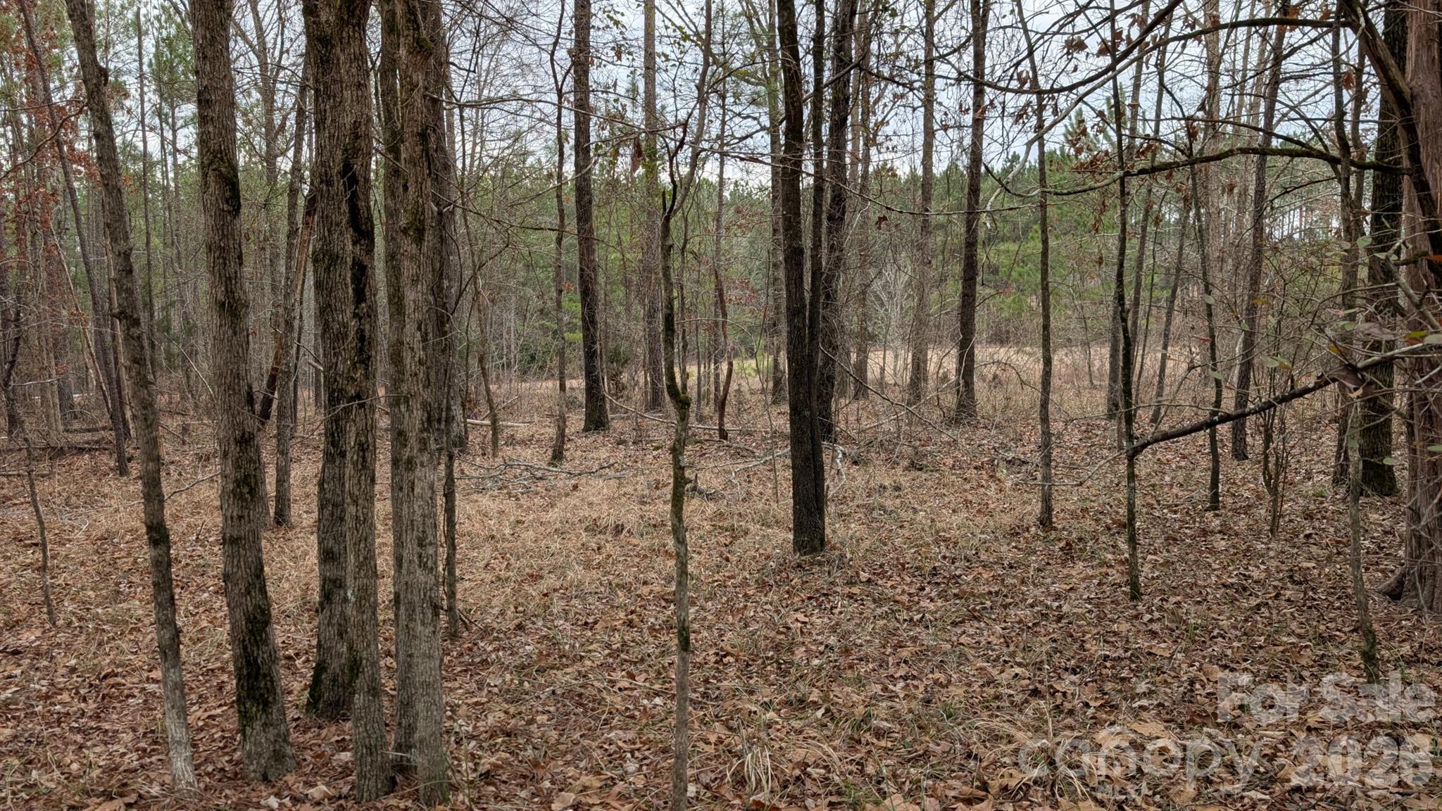 Tbd Retreat Way 3 Property Photo 10