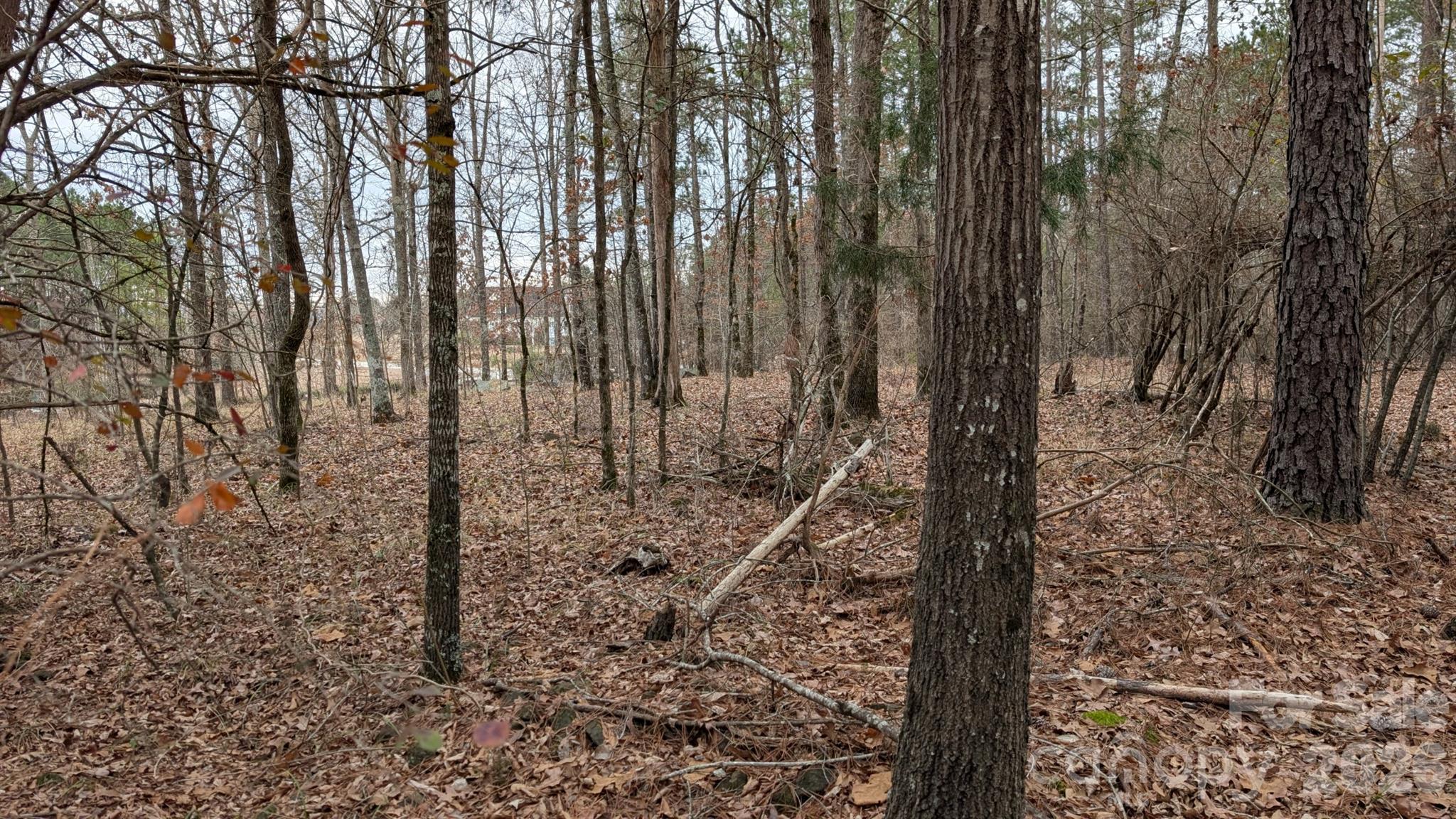 Tbd Retreat Way 3 Property Photo 11