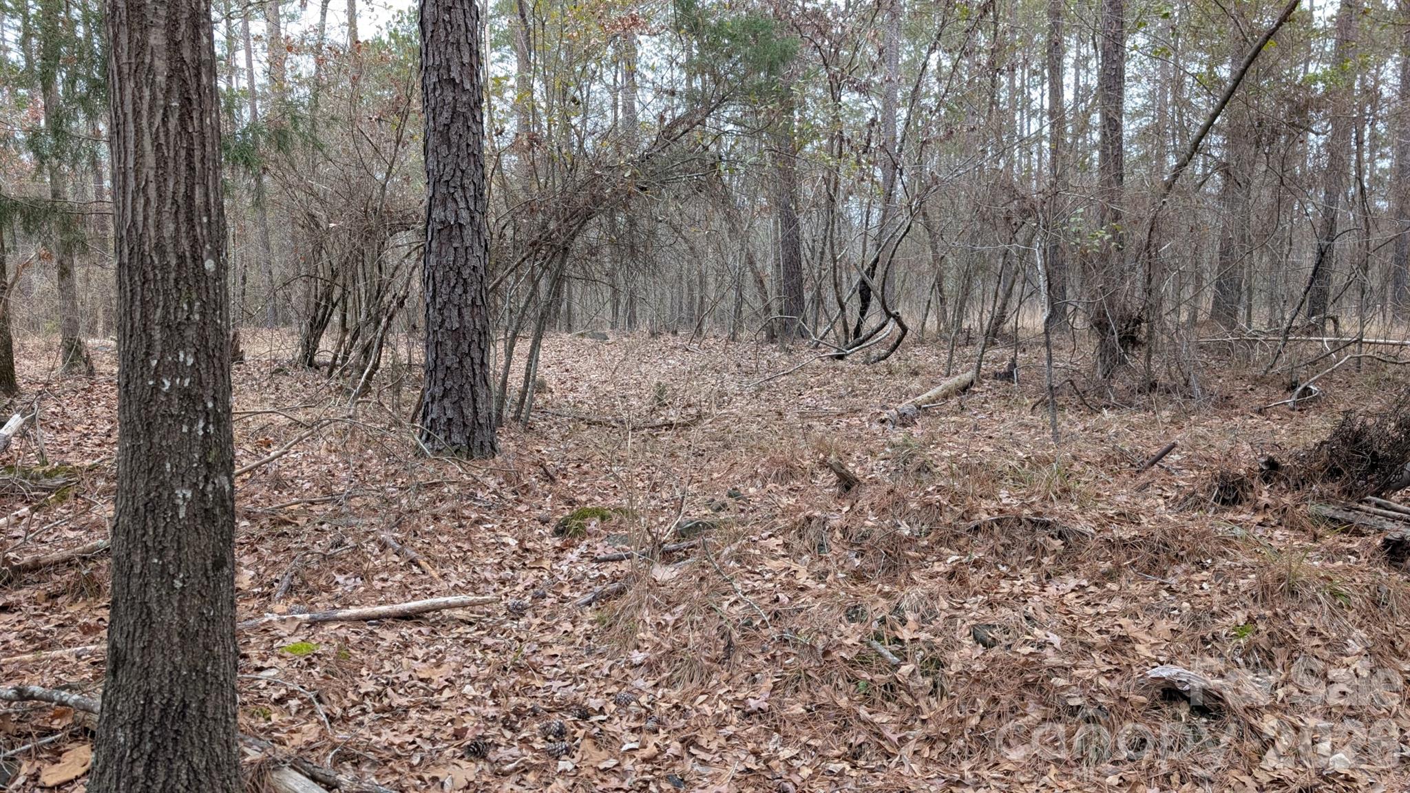Tbd Retreat Way 3 Property Photo 12