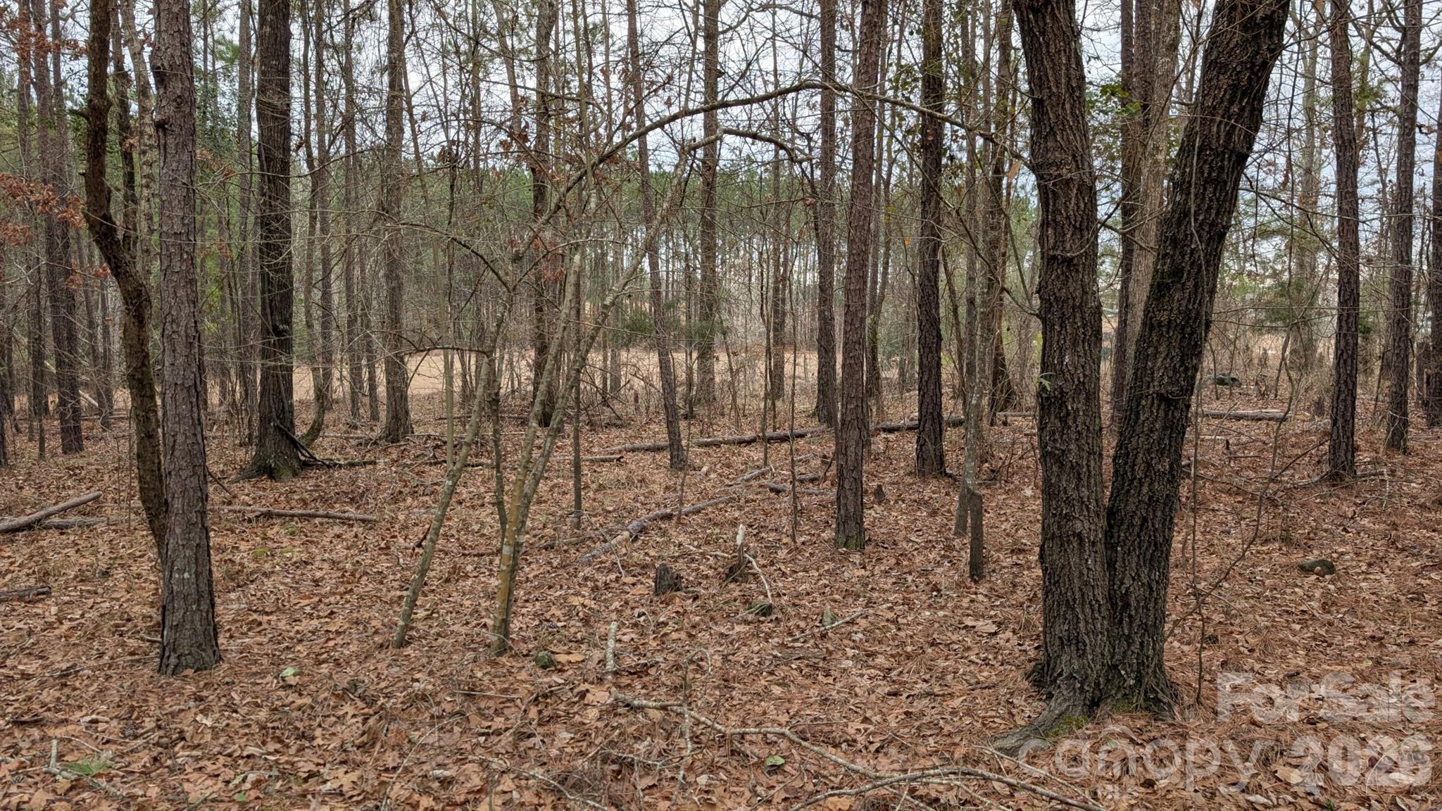Tbd Retreat Way 3 Property Photo 13