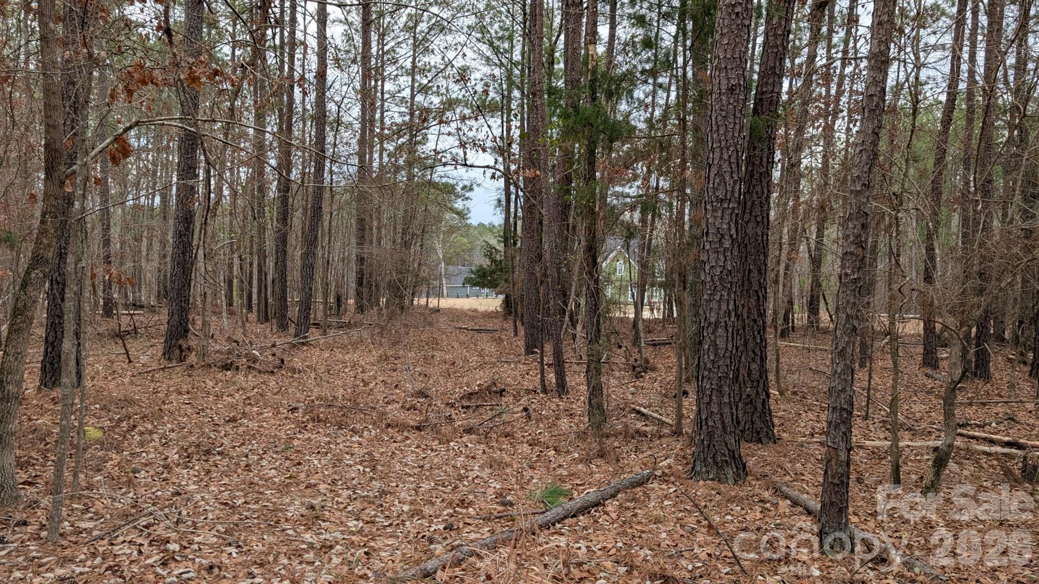 Tbd Retreat Way 3 Property Photo 14