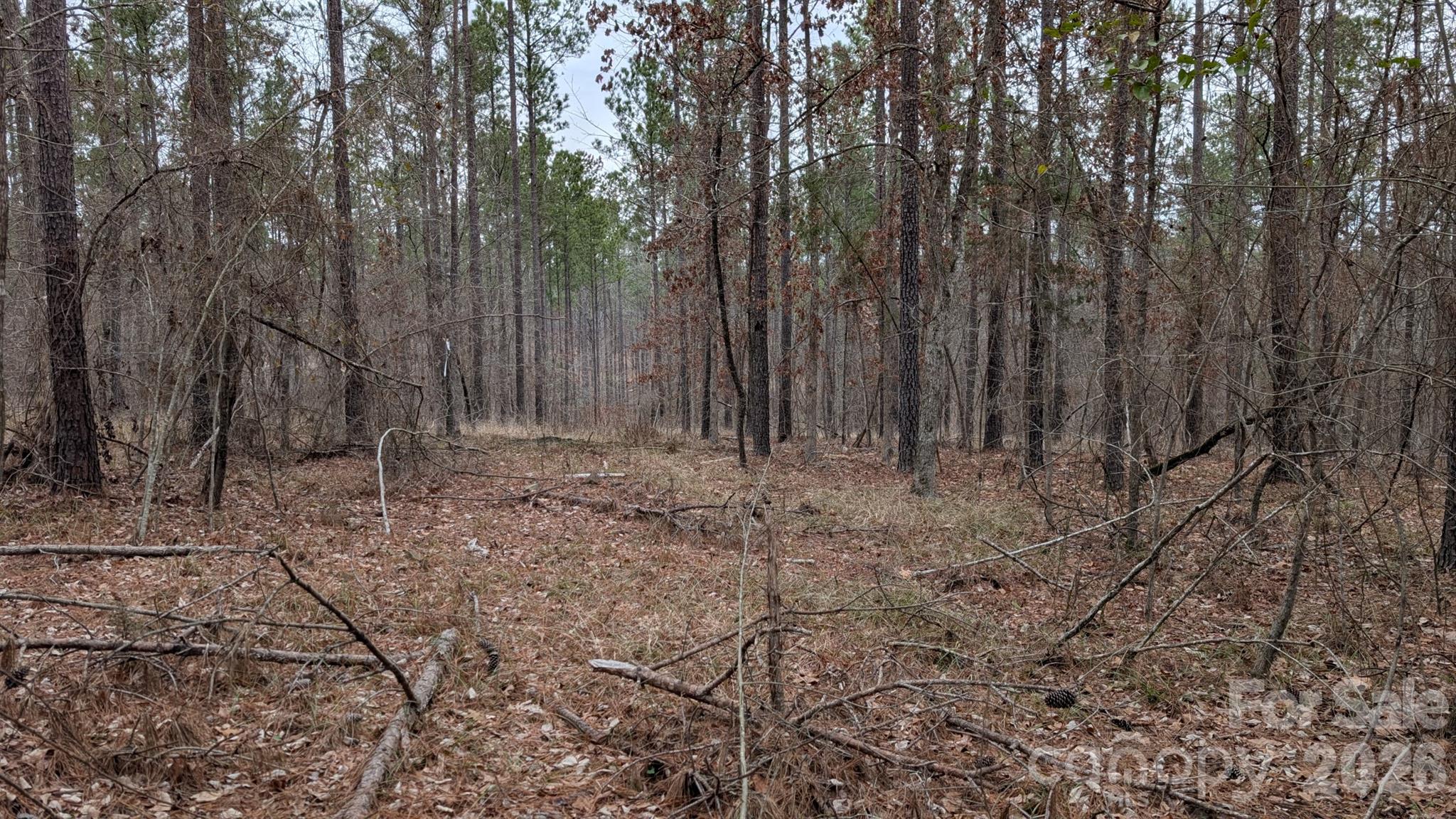 Tbd Retreat Way 3 Property Photo 15