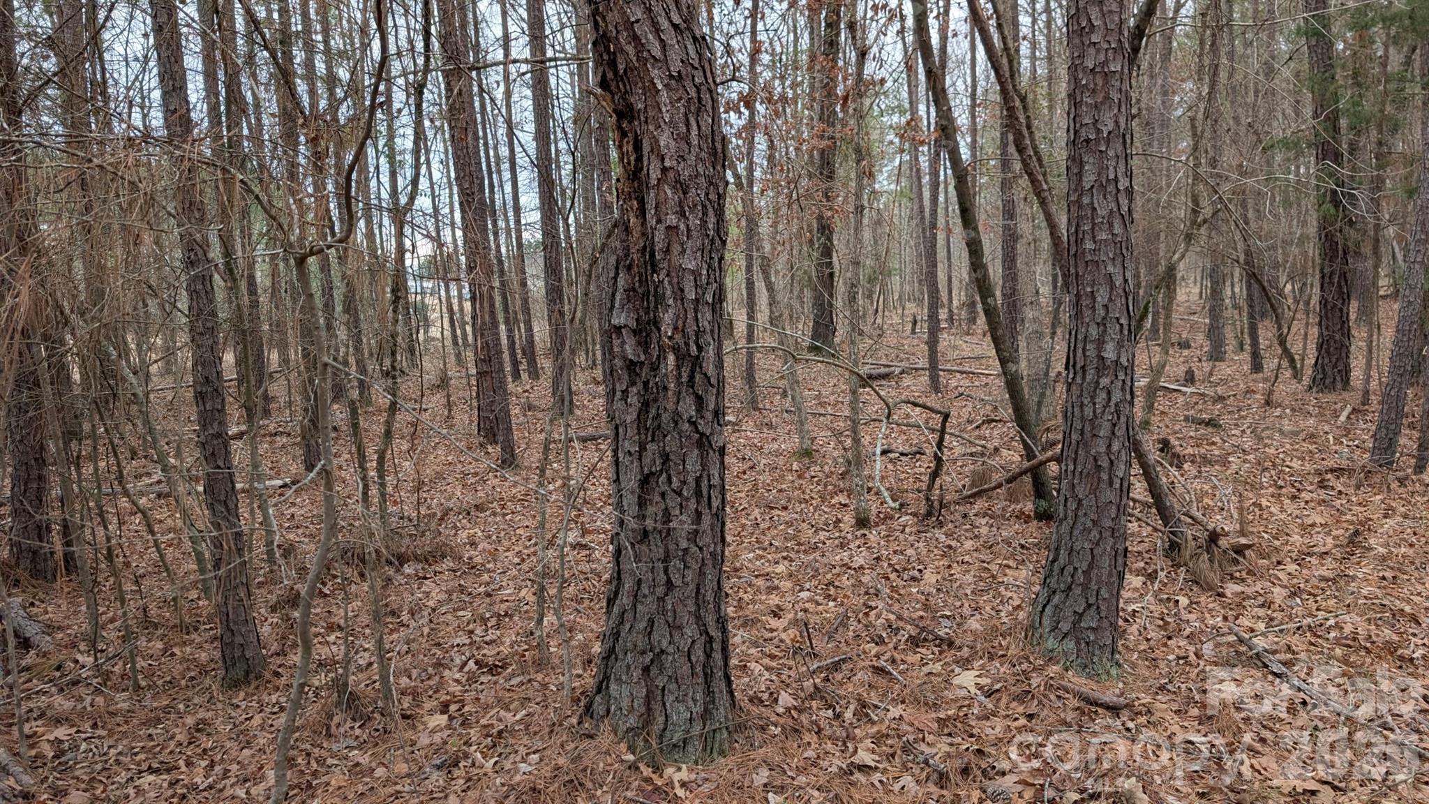 Tbd Retreat Way 3 Property Photo 16