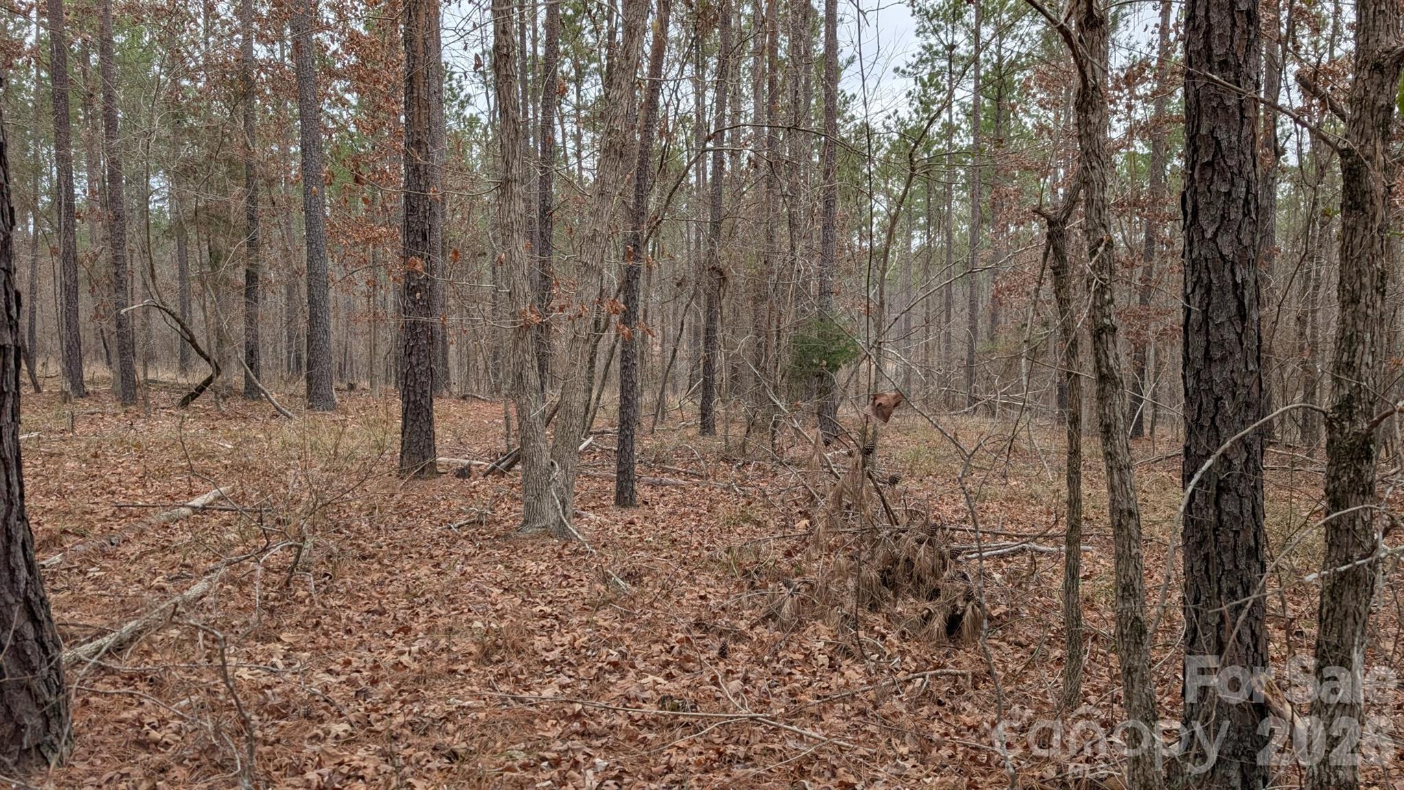 Tbd Retreat Way 3 Property Photo 17
