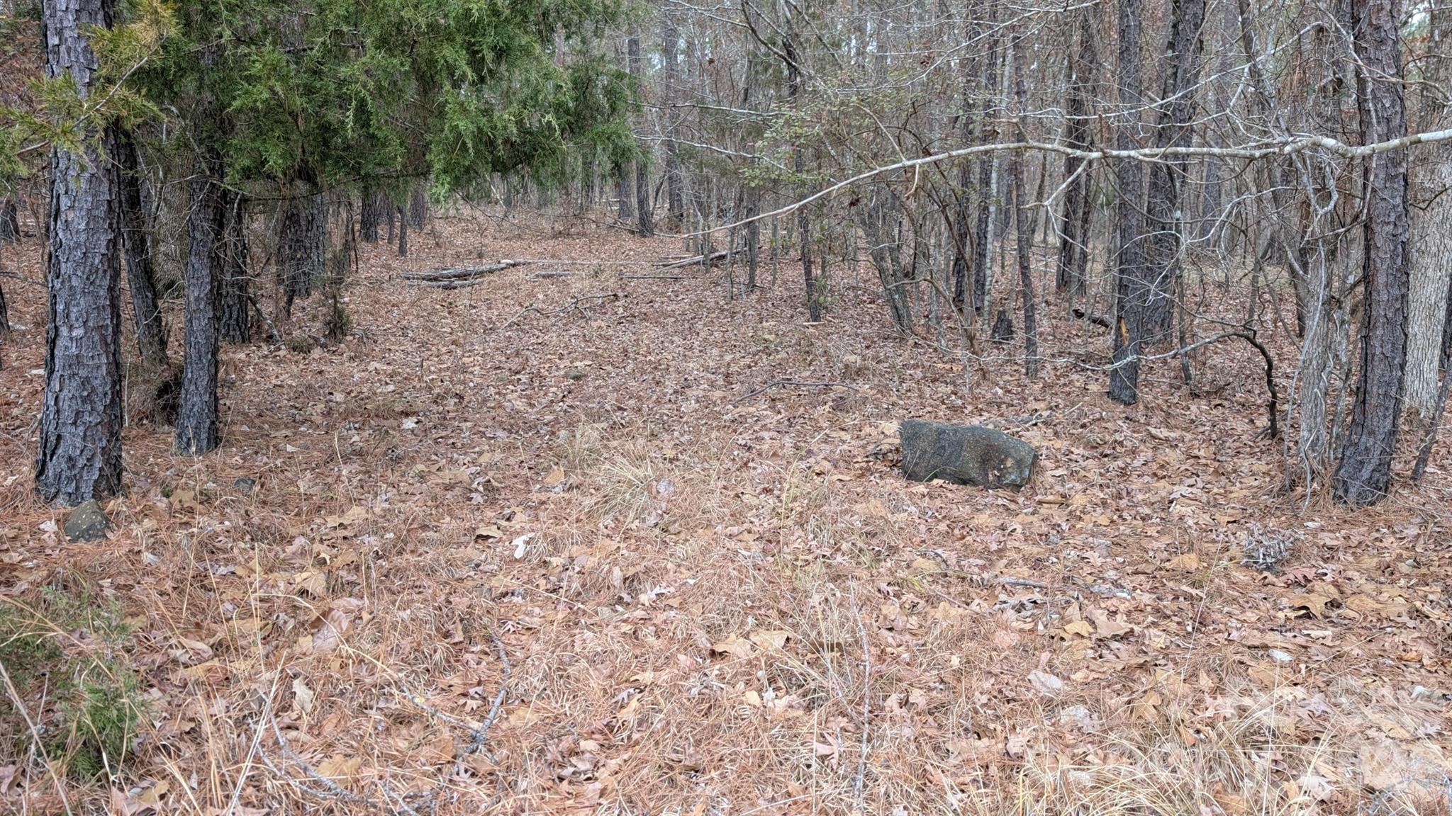 Tbd Retreat Way 3 Property Photo 18