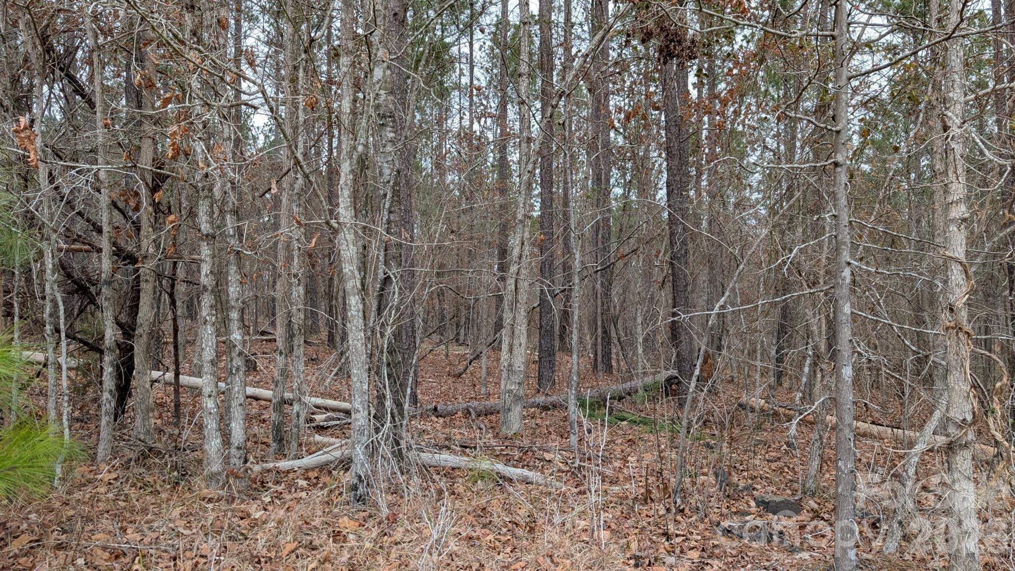 Tbd Retreat Way 3 Property Photo 19