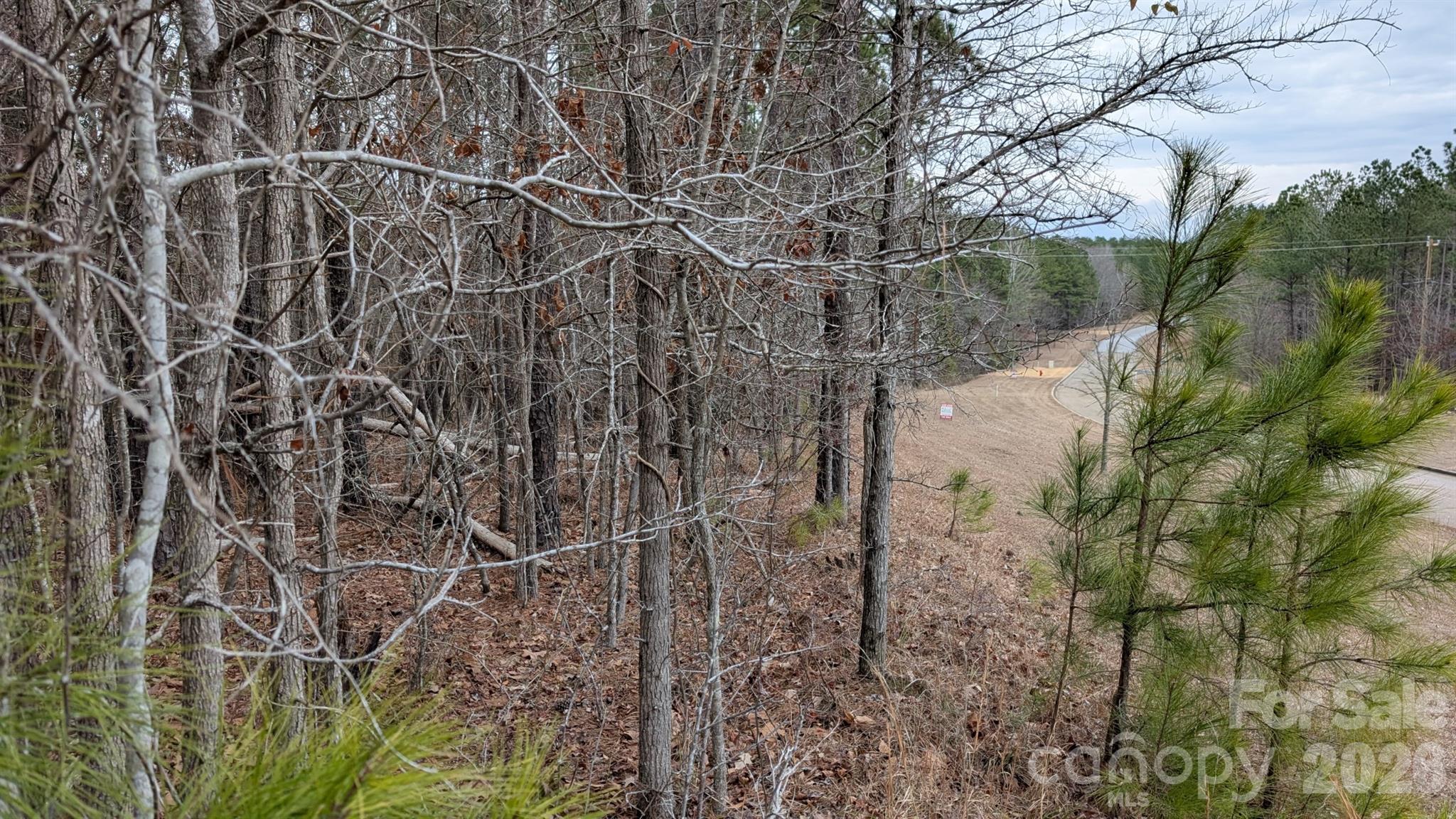 Tbd Retreat Way 3 Property Photo 21
