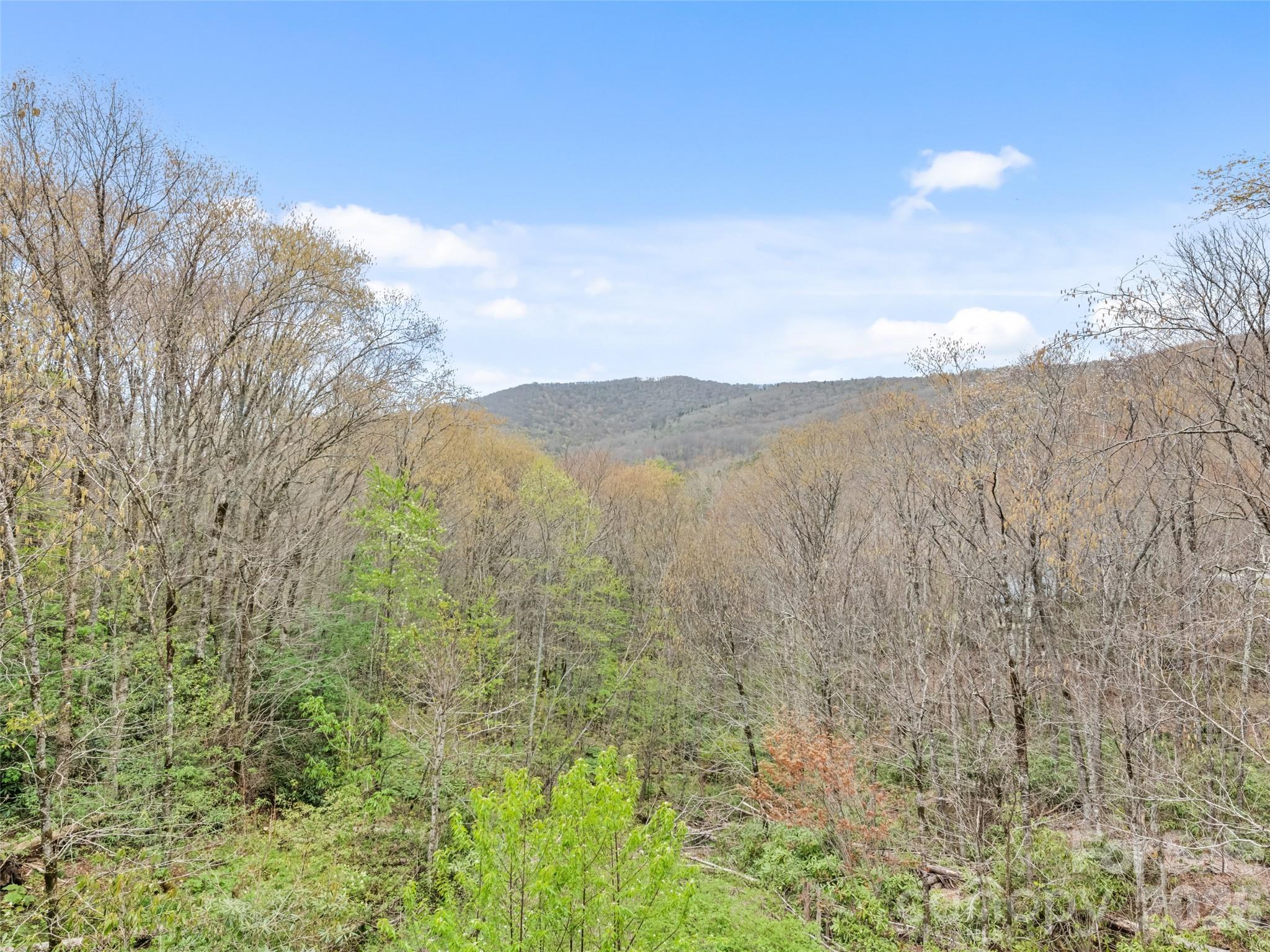 91 Copper Spur Road Property Photo 22
