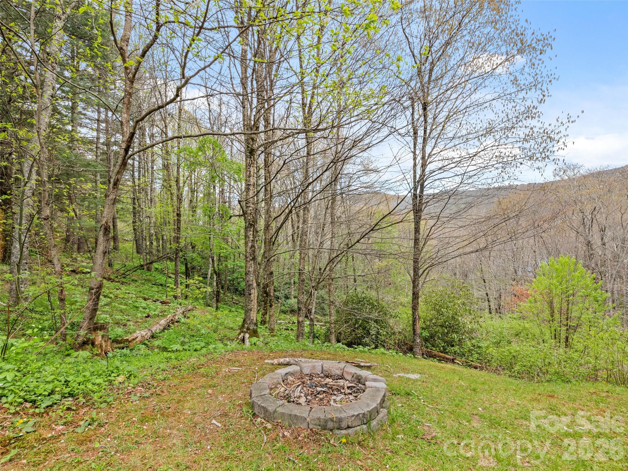 91 Copper Spur Road Property Photo 28
