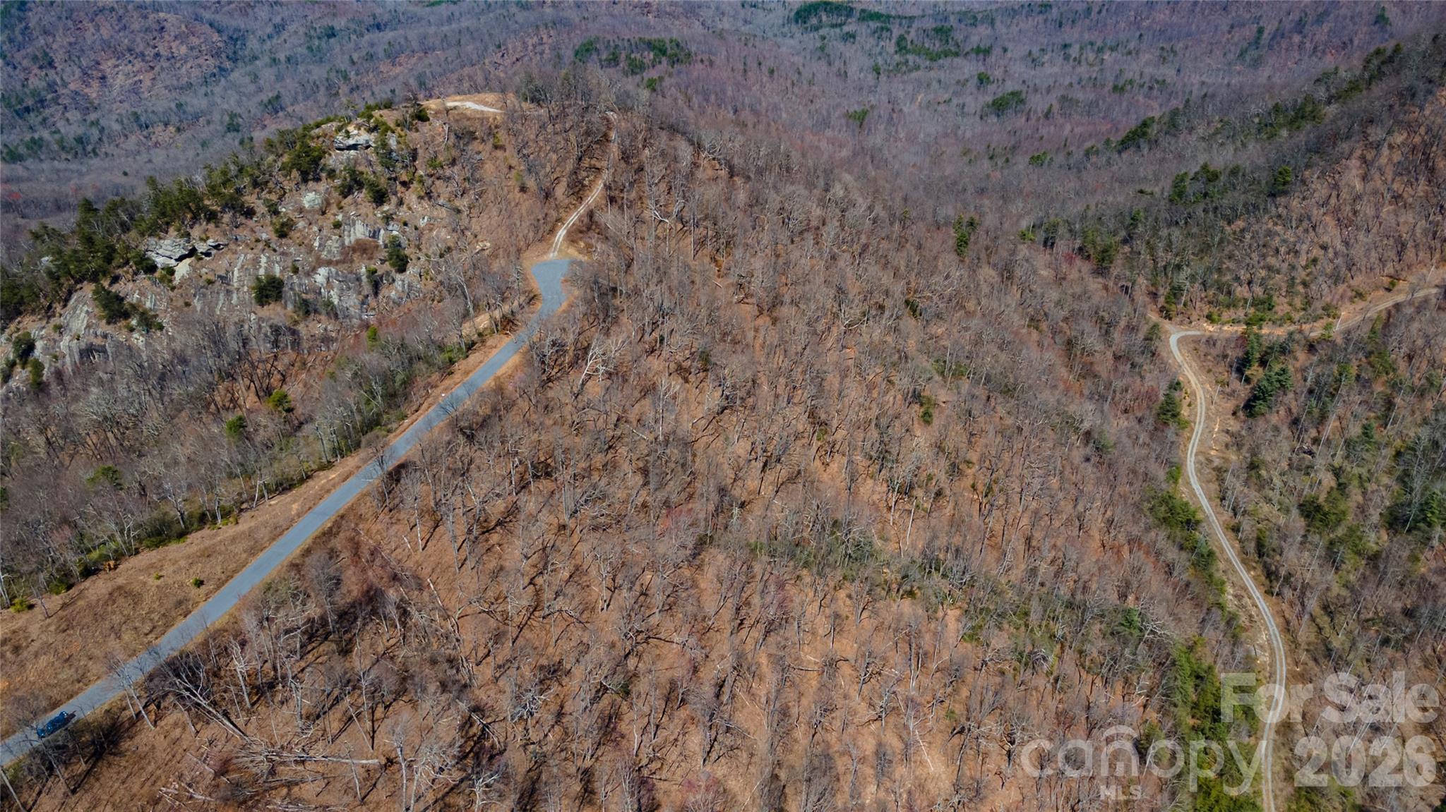 000 Devin Ridge Lane 99 Property Photo 5