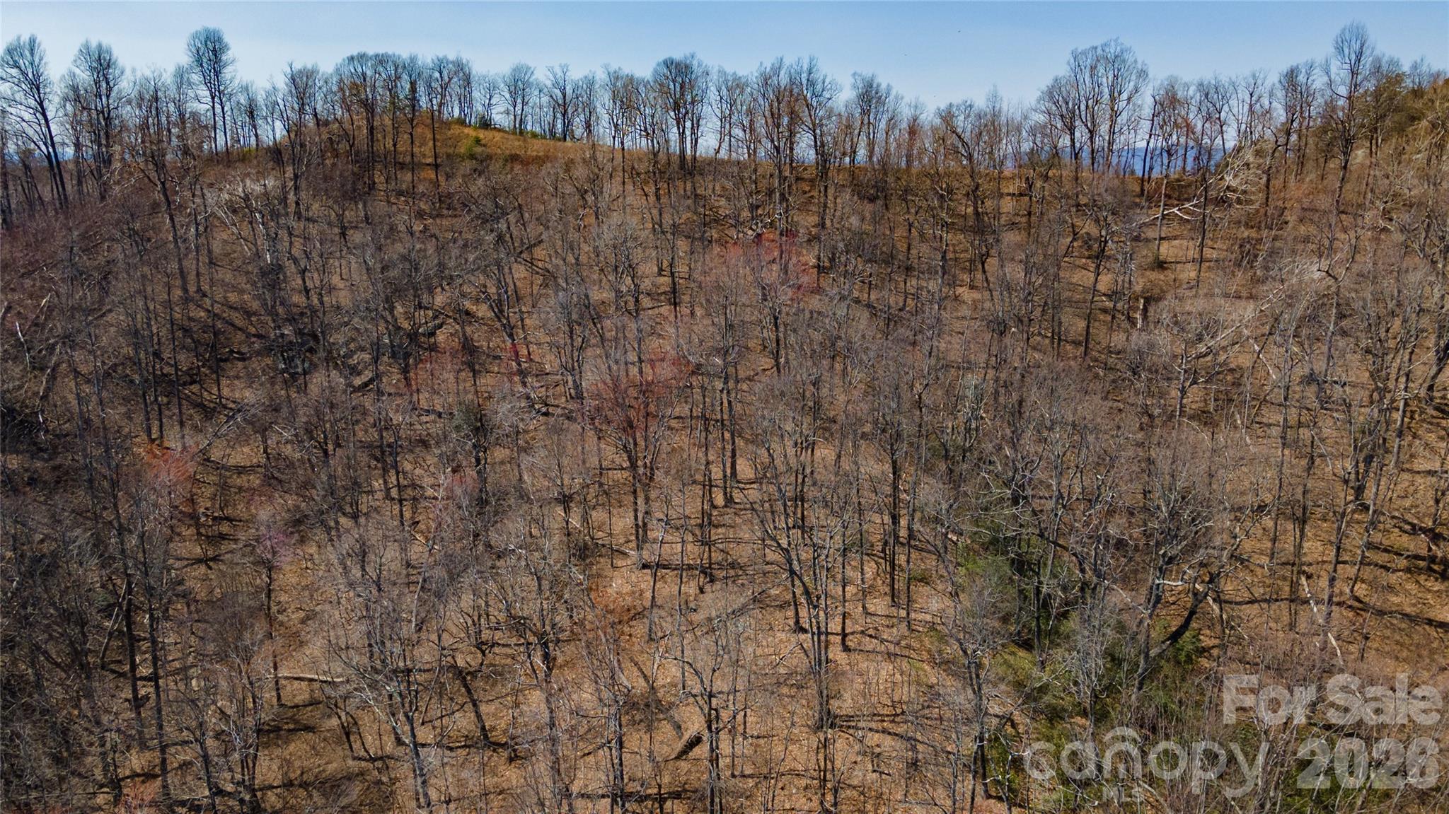 000 Devin Ridge Lane 99 Property Photo 8