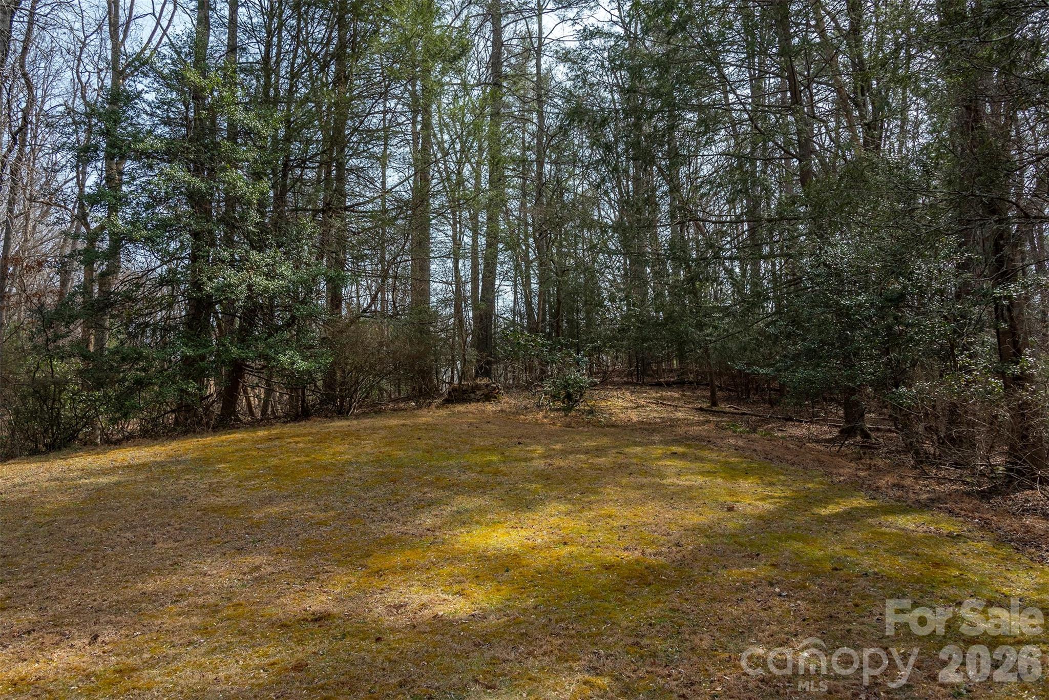 1720 Brevard Road Property Photo 6