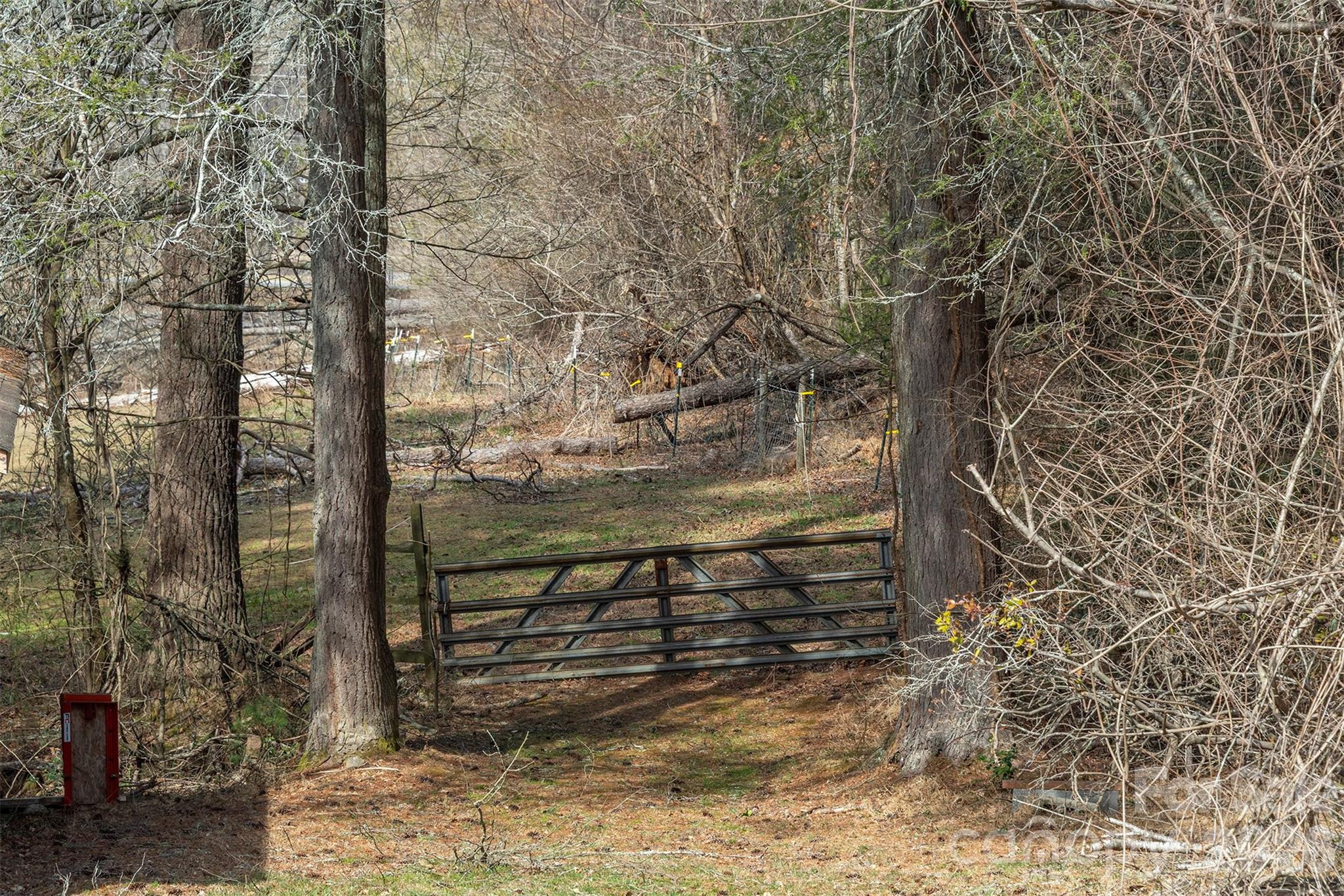 1720 Brevard Road Property Photo 8