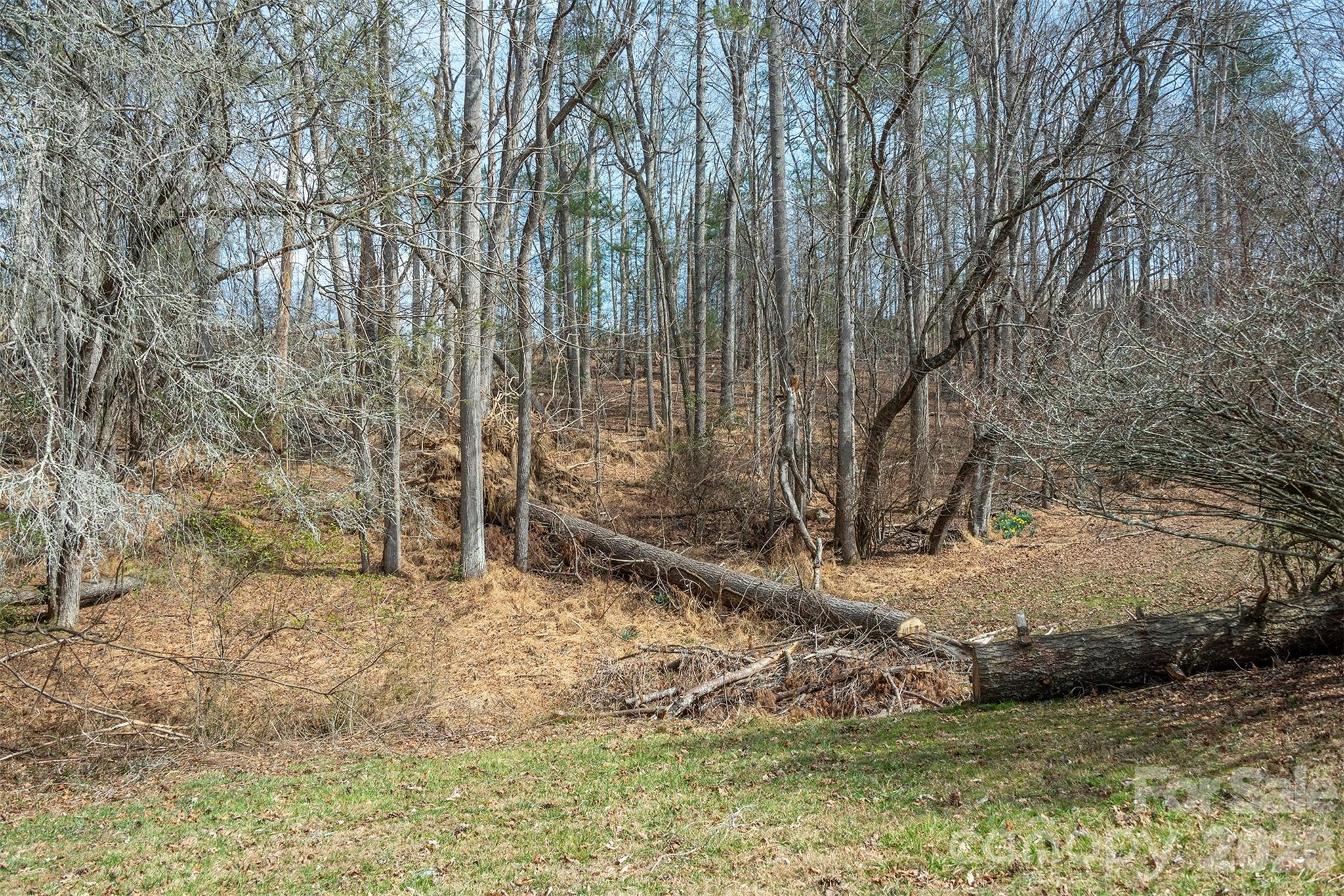 1720 Brevard Road Property Photo 9