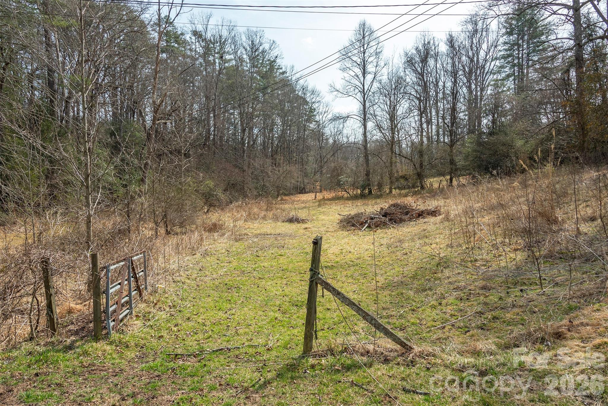 1720 Brevard Road Property Photo 13