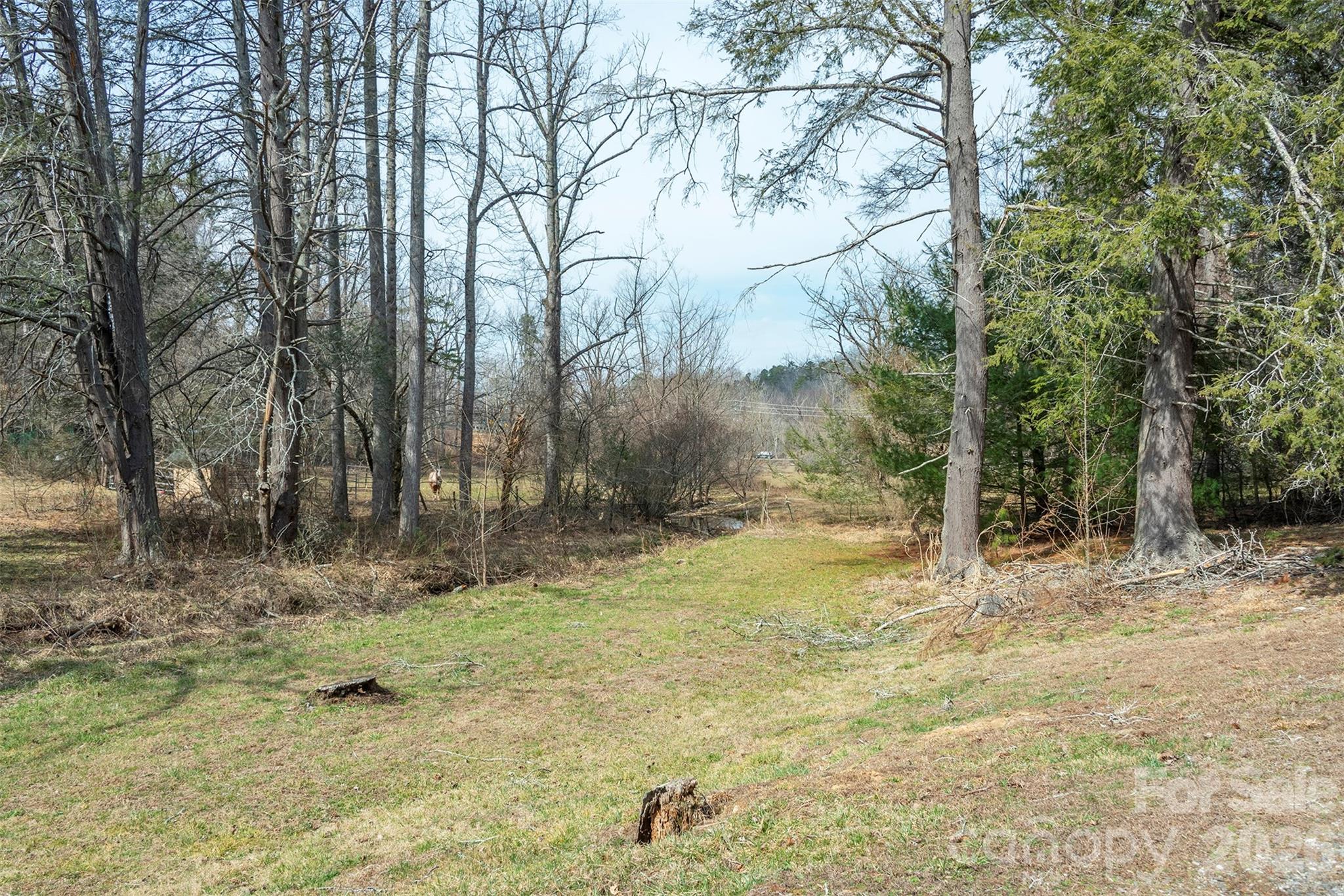 1720 Brevard Road Property Photo 15