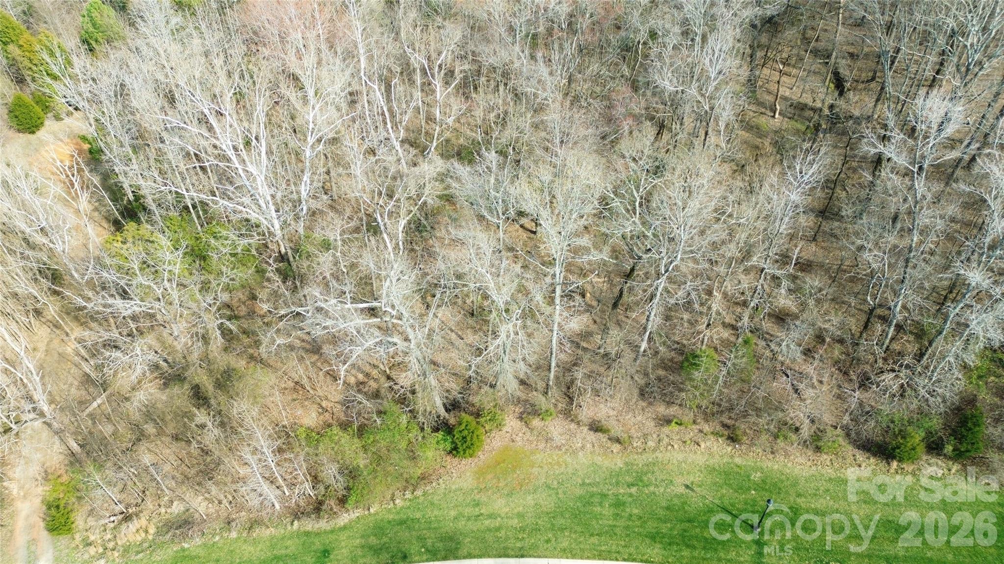 8206 Caliterra Drive Property Photo 2
