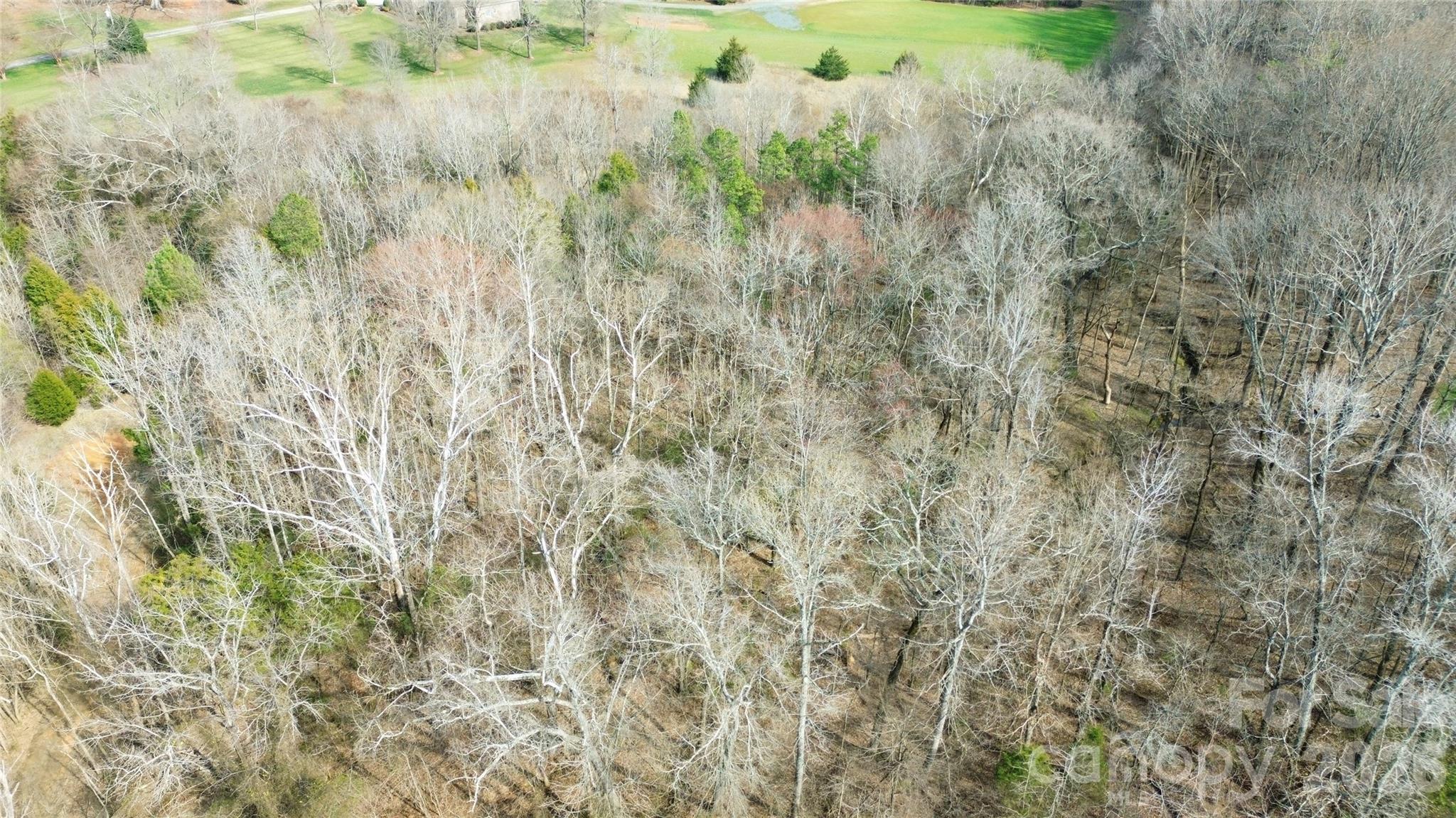 8206 Caliterra Drive Property Photo 3
