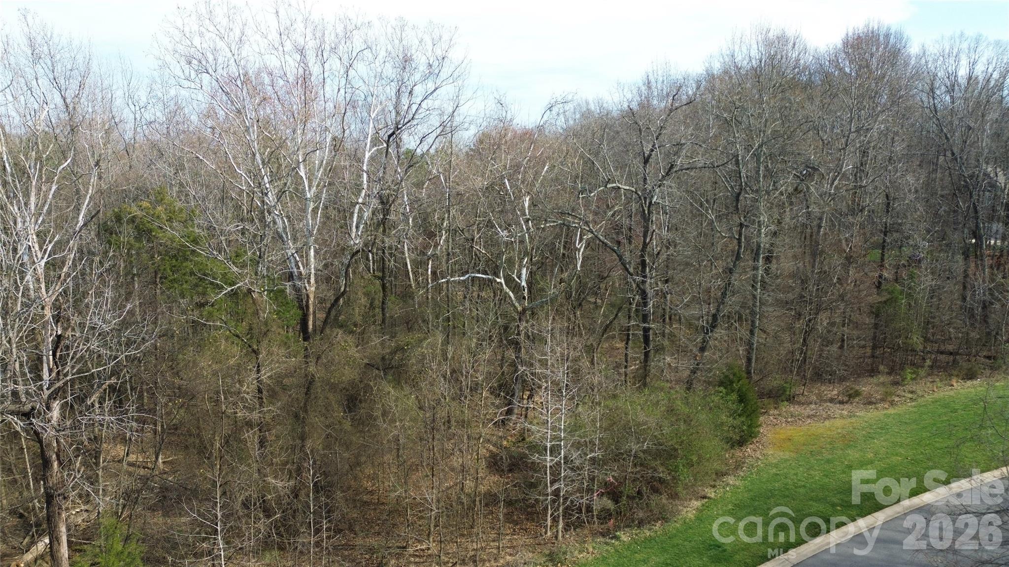 8206 Caliterra Drive Property Photo 4
