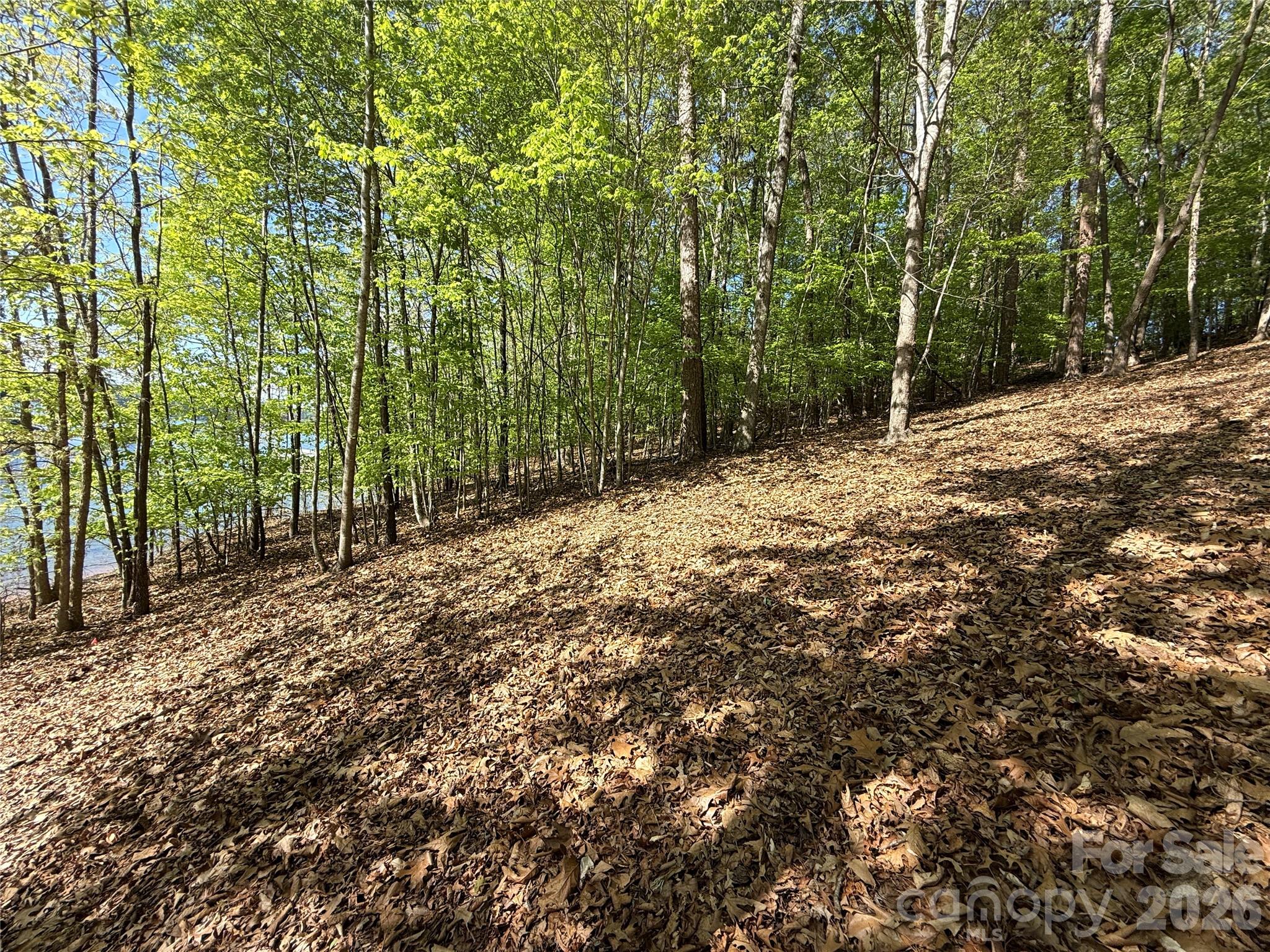163 High Lake Drive Property Photo 4