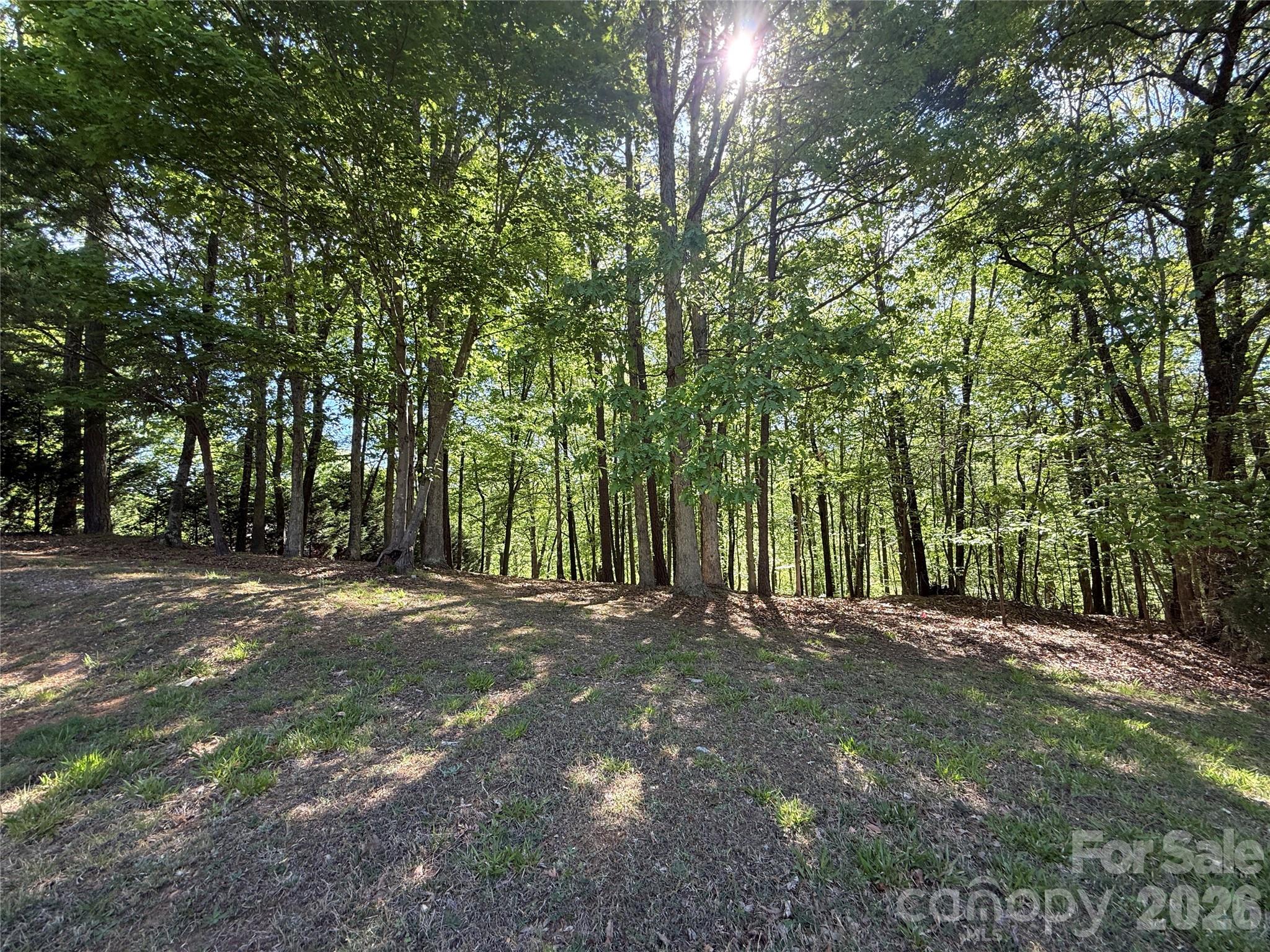 163 High Lake Drive Property Photo 6
