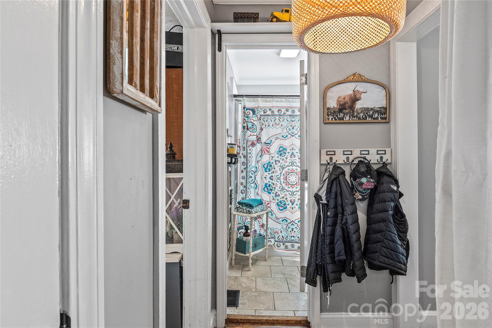 113 Hardy Street Property Photo 1