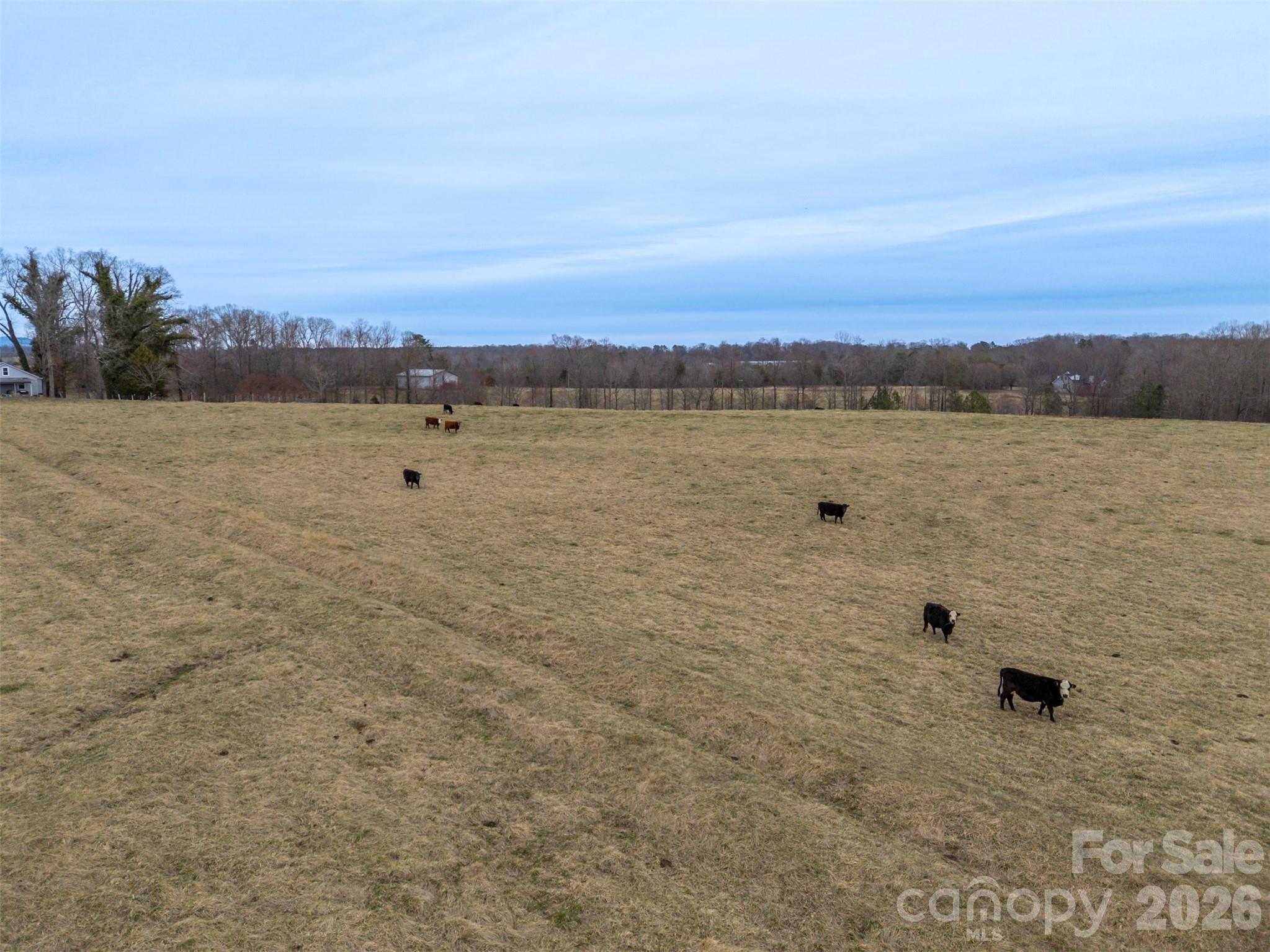 0 Red Barn Road Property Photo 14