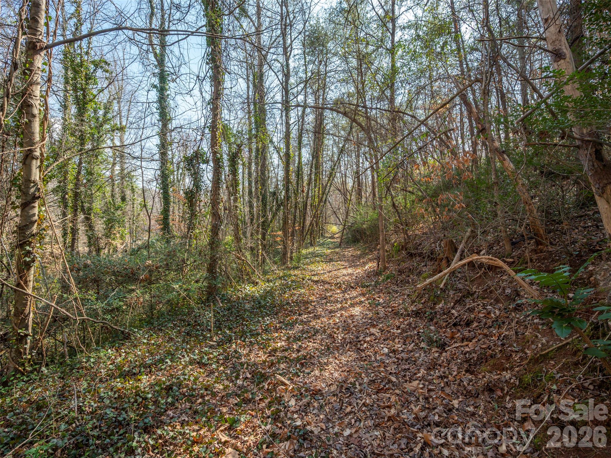 0000 Judge Road Property Photo 18