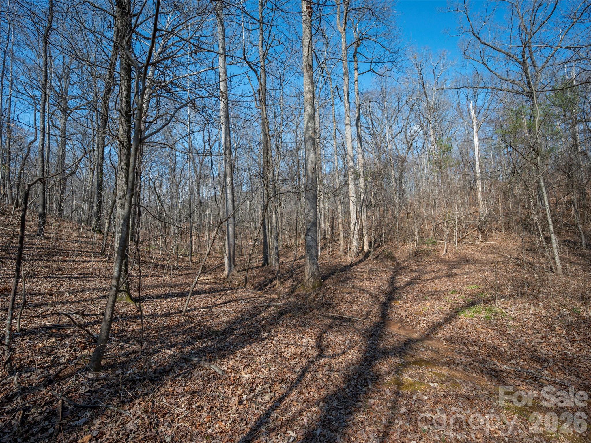 0000 Judge Road Property Photo 19