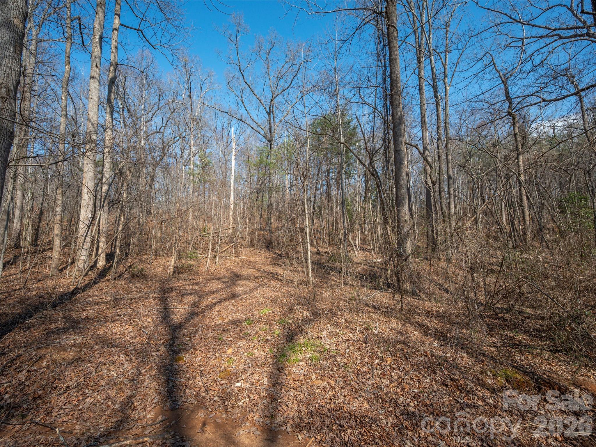 0000 Judge Road Property Photo 20