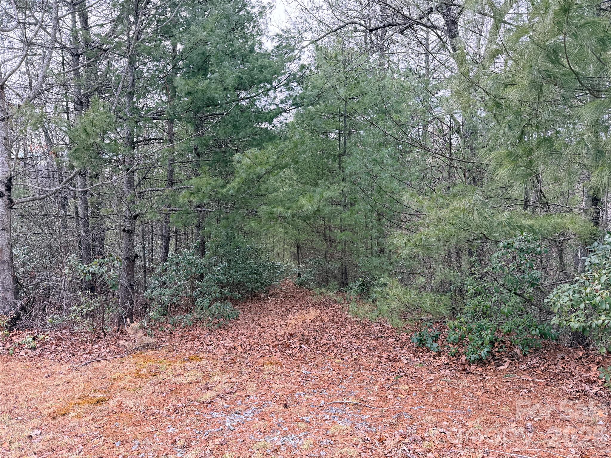 Tbd (lot 1) Dugger Firetower Road 1 Property Photo 4