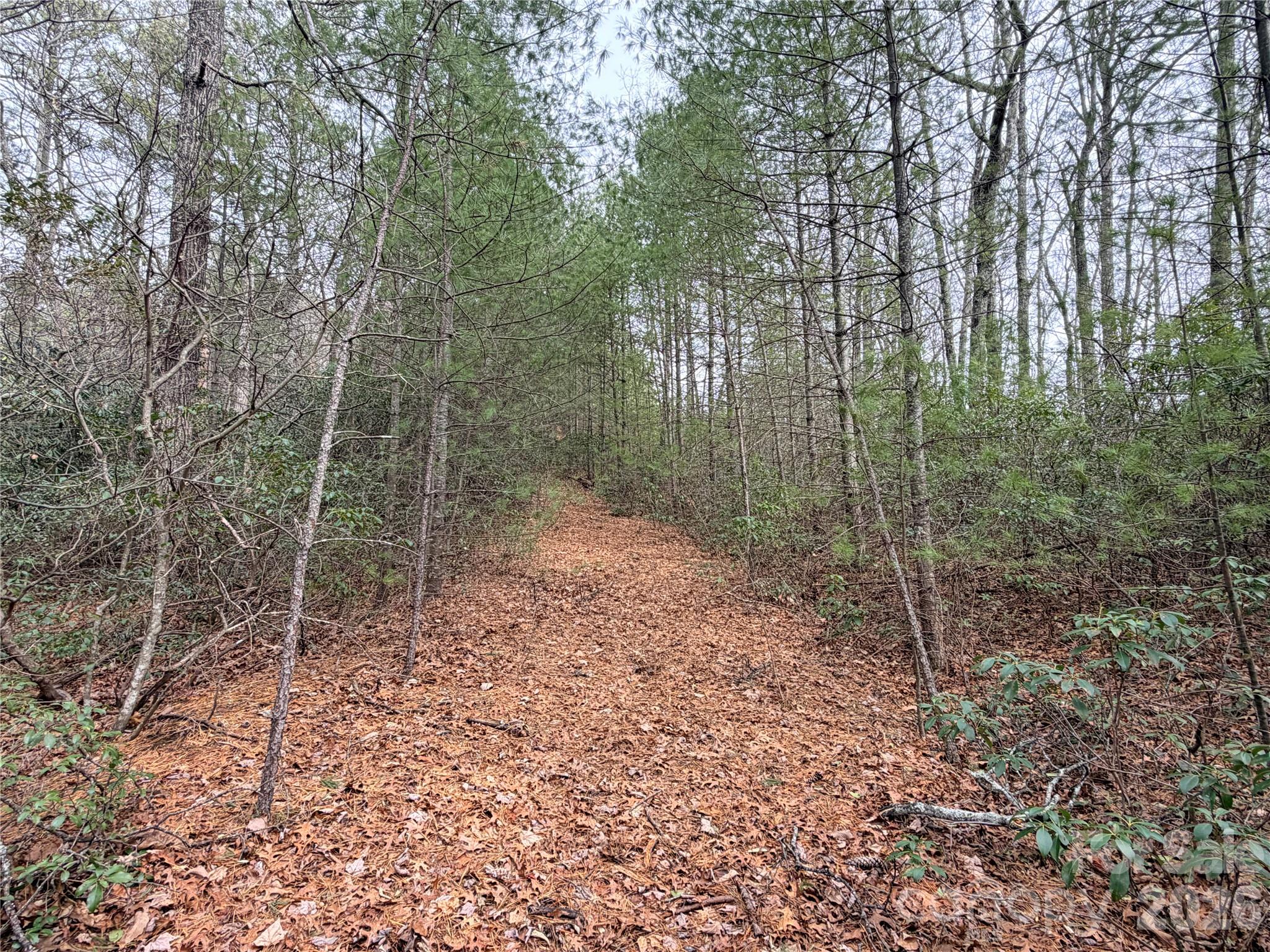 Tbd (lot 1) Dugger Firetower Road 1 Property Photo 5