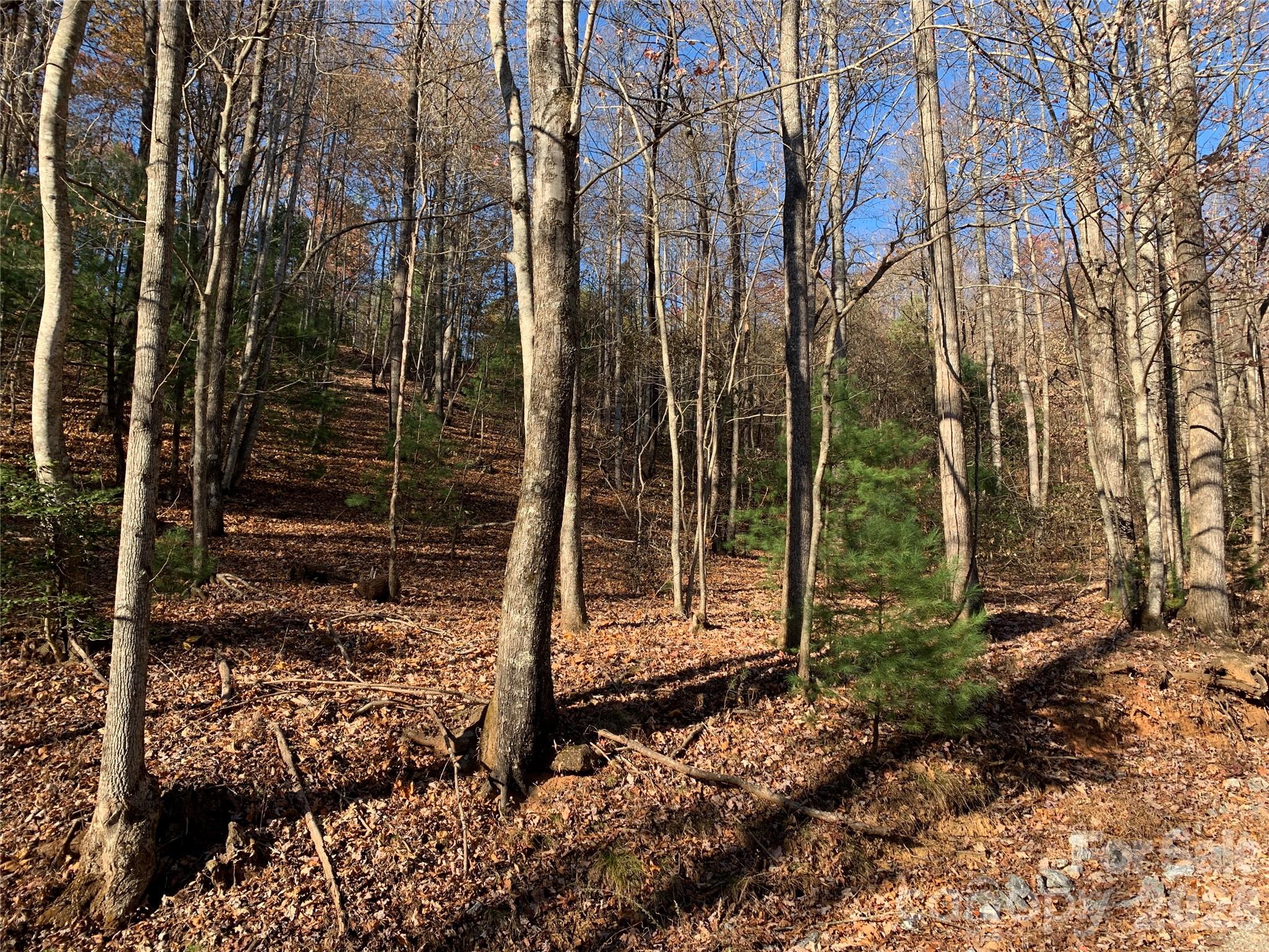 Tbd (lot 1) Dugger Firetower Road 1 Property Photo 8