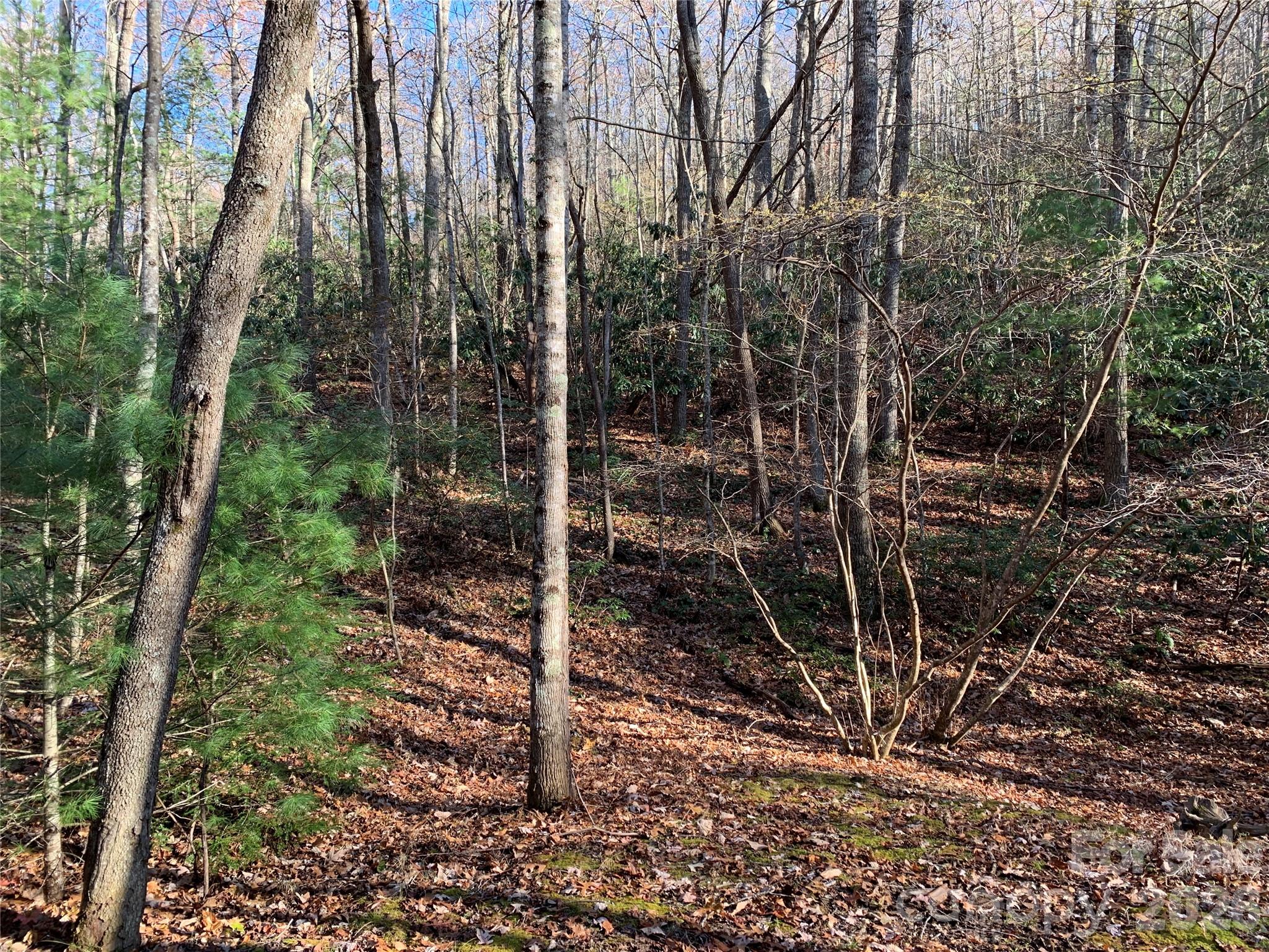 Tbd (lot 1) Dugger Firetower Road 1 Property Photo 9