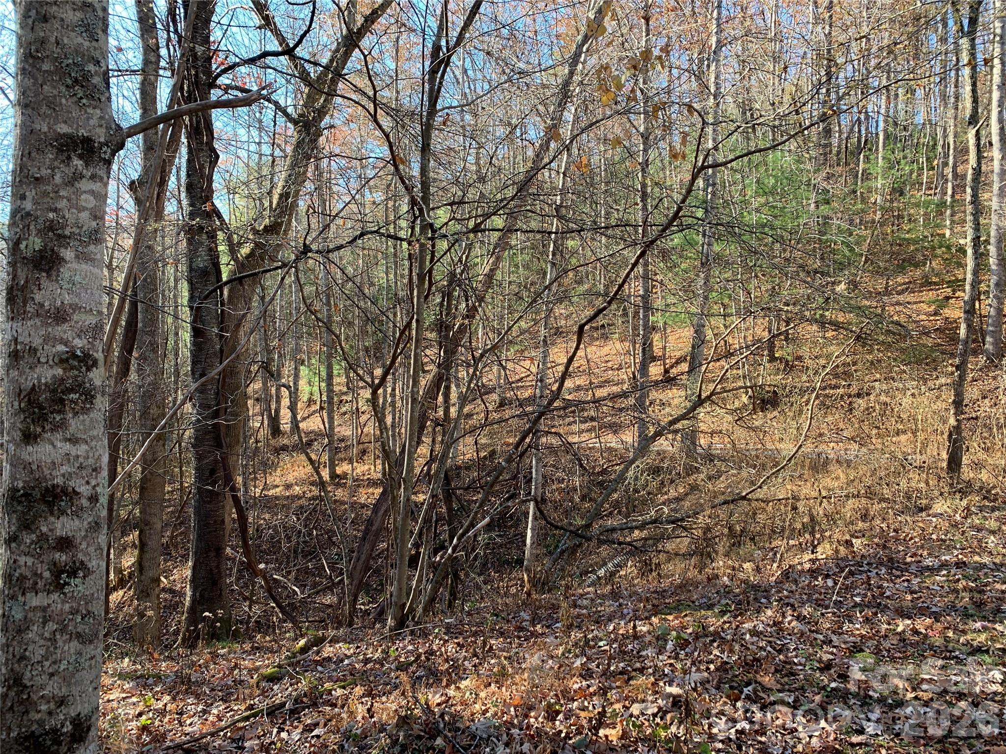 Tbd (lot 1) Dugger Firetower Road 1 Property Photo 10