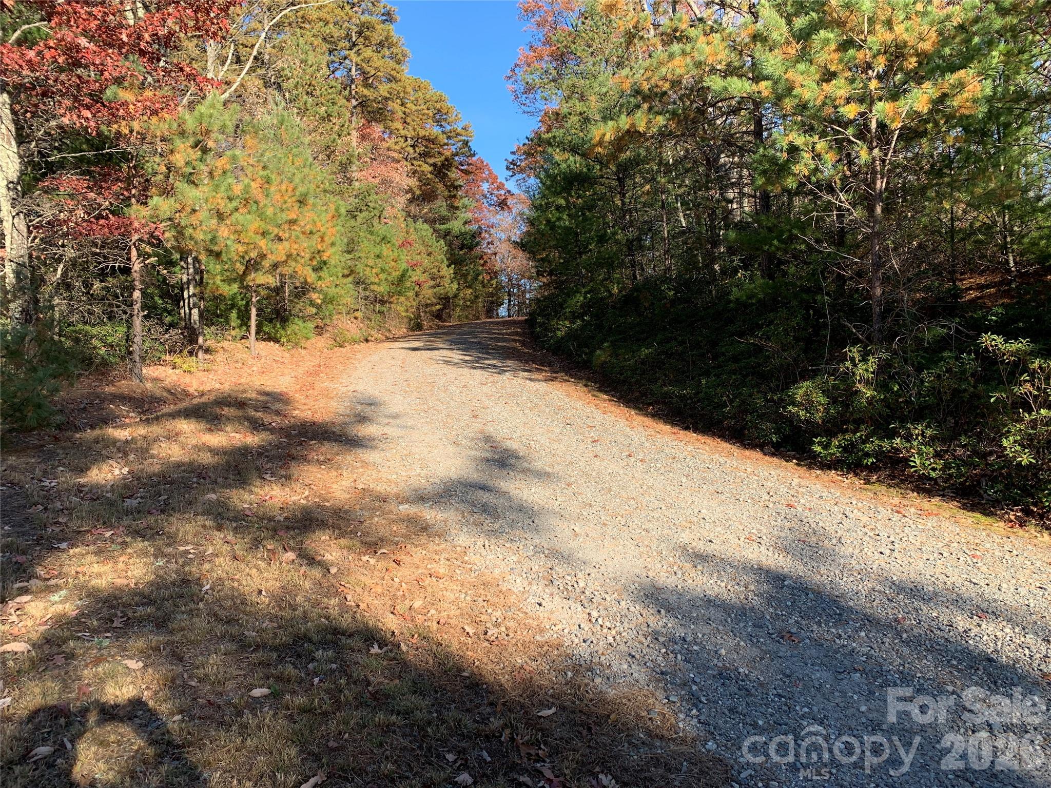 Tbd (lot 1) Dugger Firetower Road 1 Property Photo 15